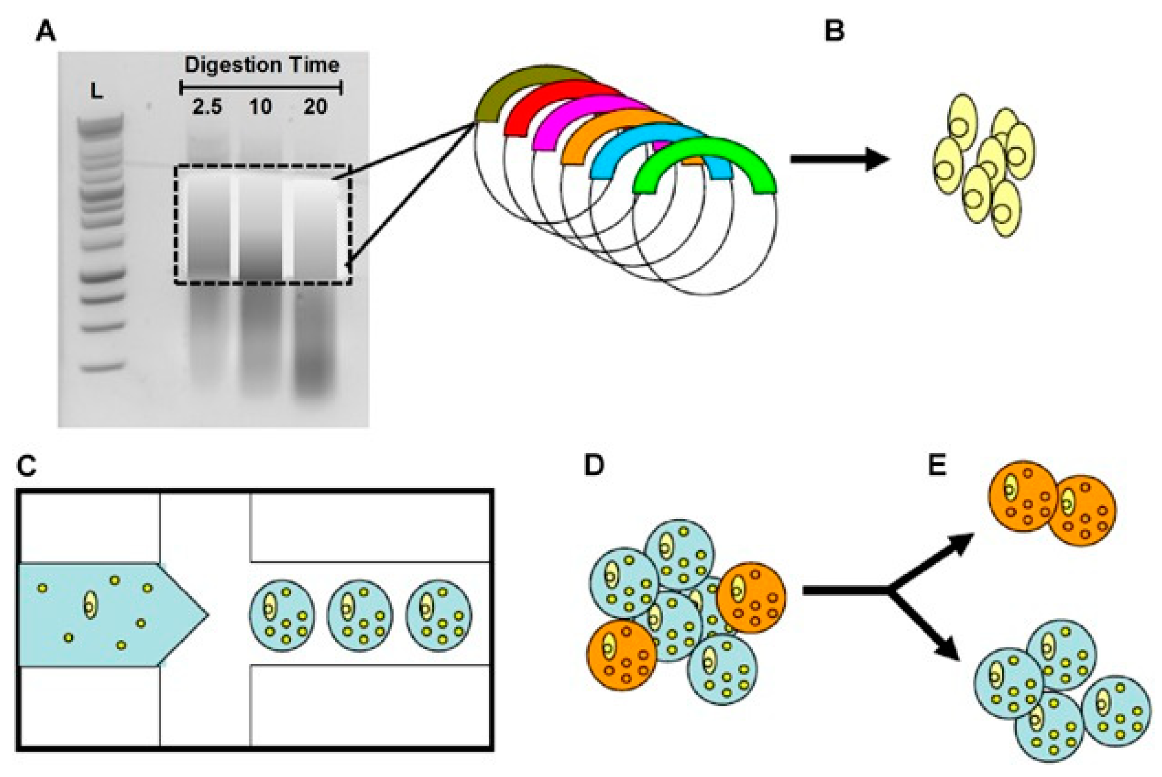 Metabolites 13 00625 g005 Metabolites 13 00625 g005