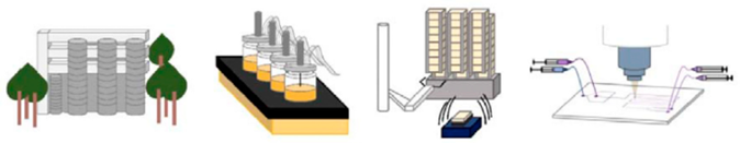 Metabolites 13 00625 i001 Metabolites 13 00625 i001