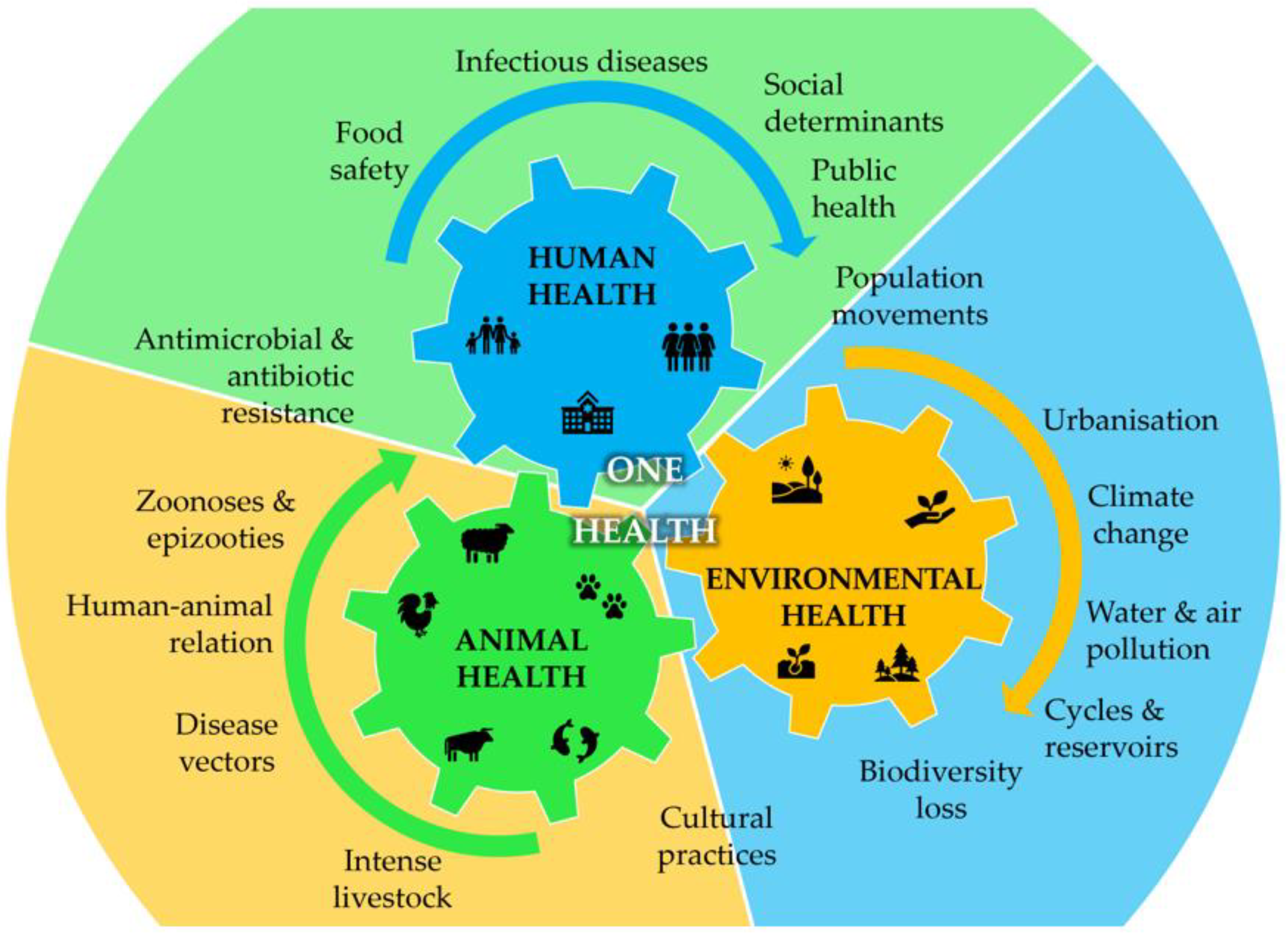 Metabolites 13 00634 g001 Metabolites 13 00634 g001