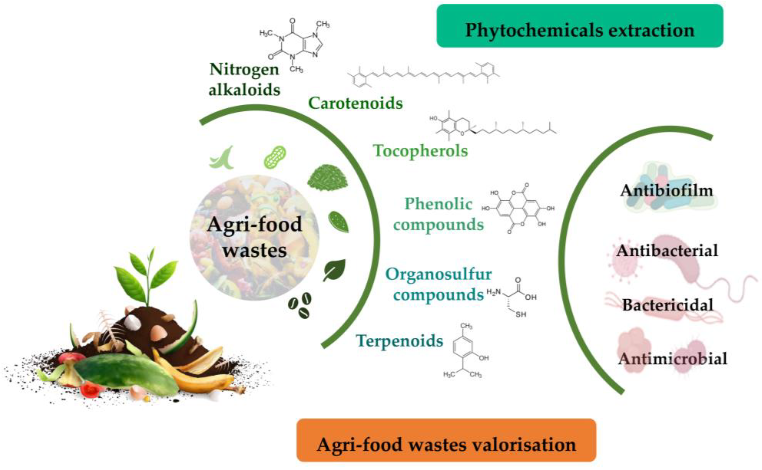 Metabolites 13 00634 g002 Metabolites 13 00634 g002
