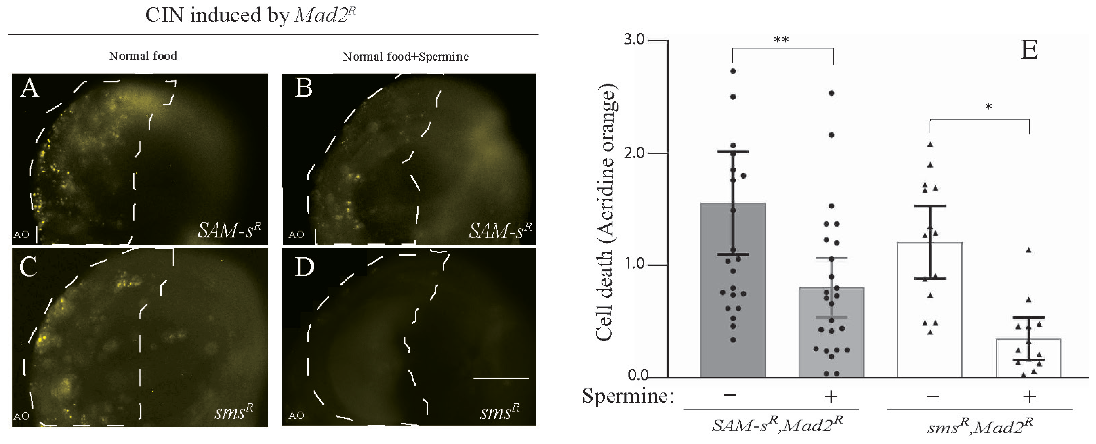 Metabolites 13 00642 g003
