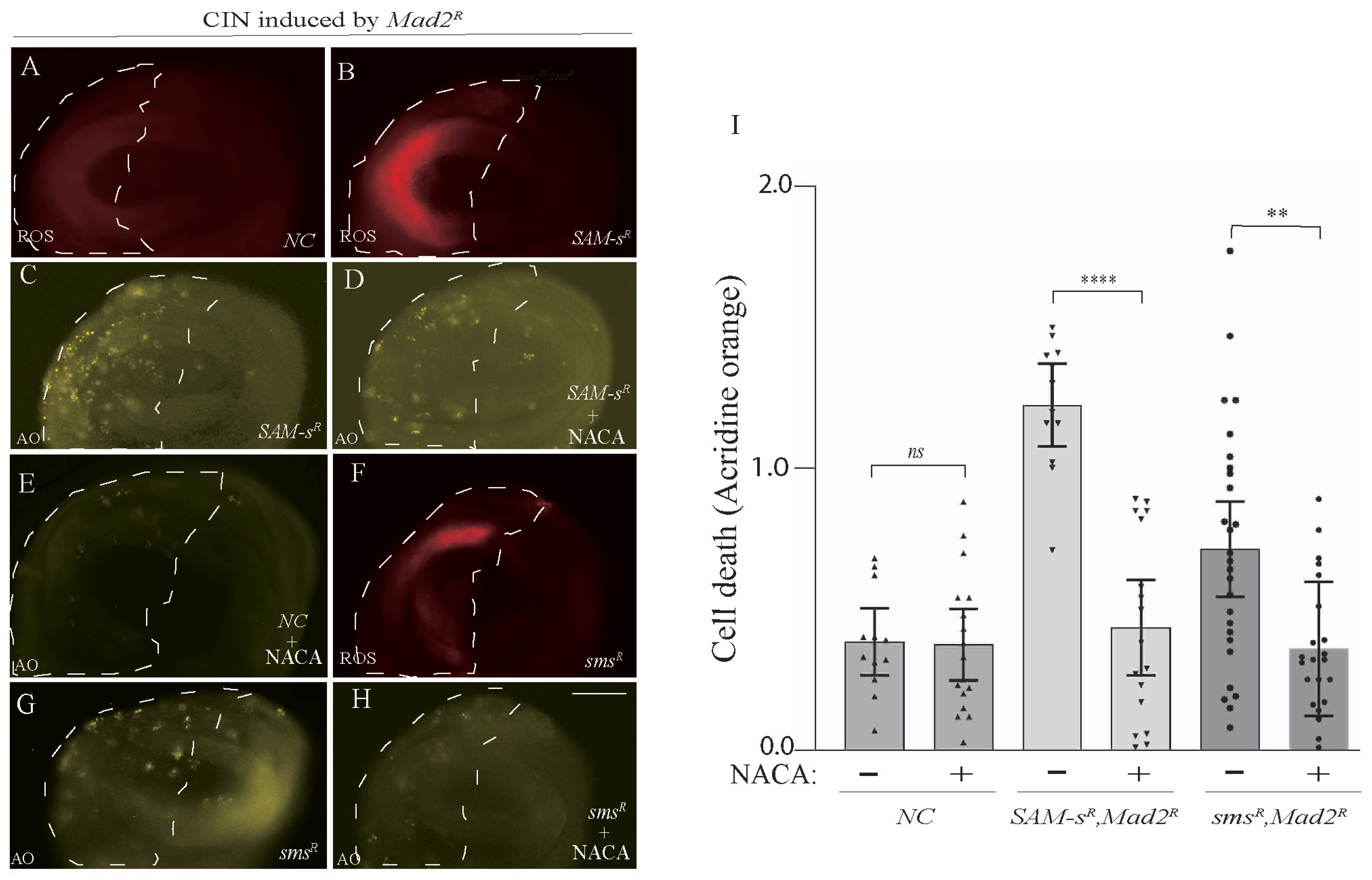 Metabolites 13 00642 g004