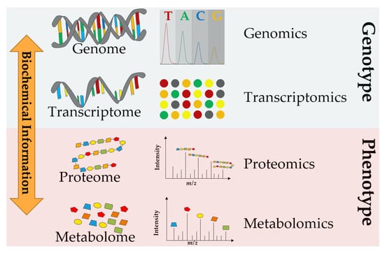 Recurrent Topics in Mass Spectrometry-Based Metabolomics and  Lipidomics—Standardization, Coverage, and Throughput