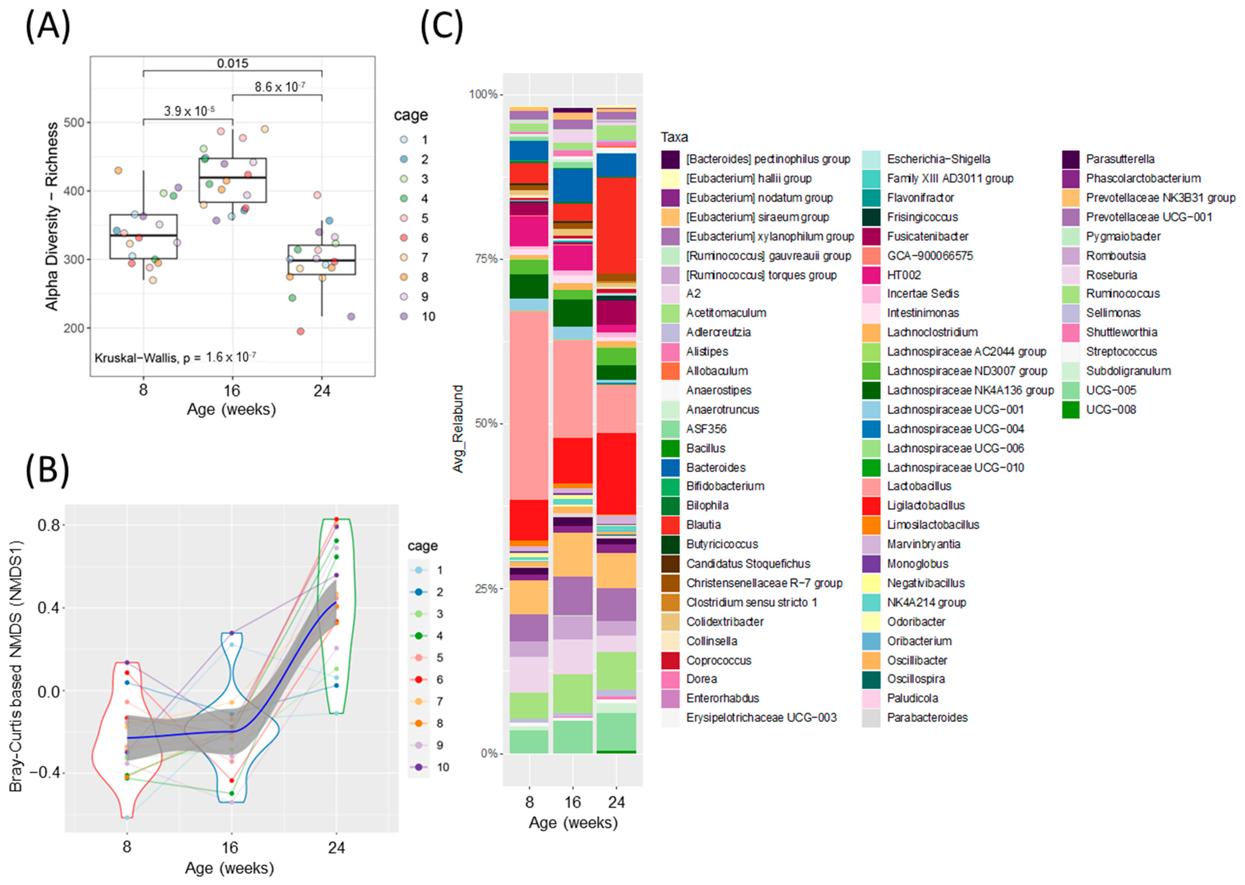 Metabolites 13 00660 g002