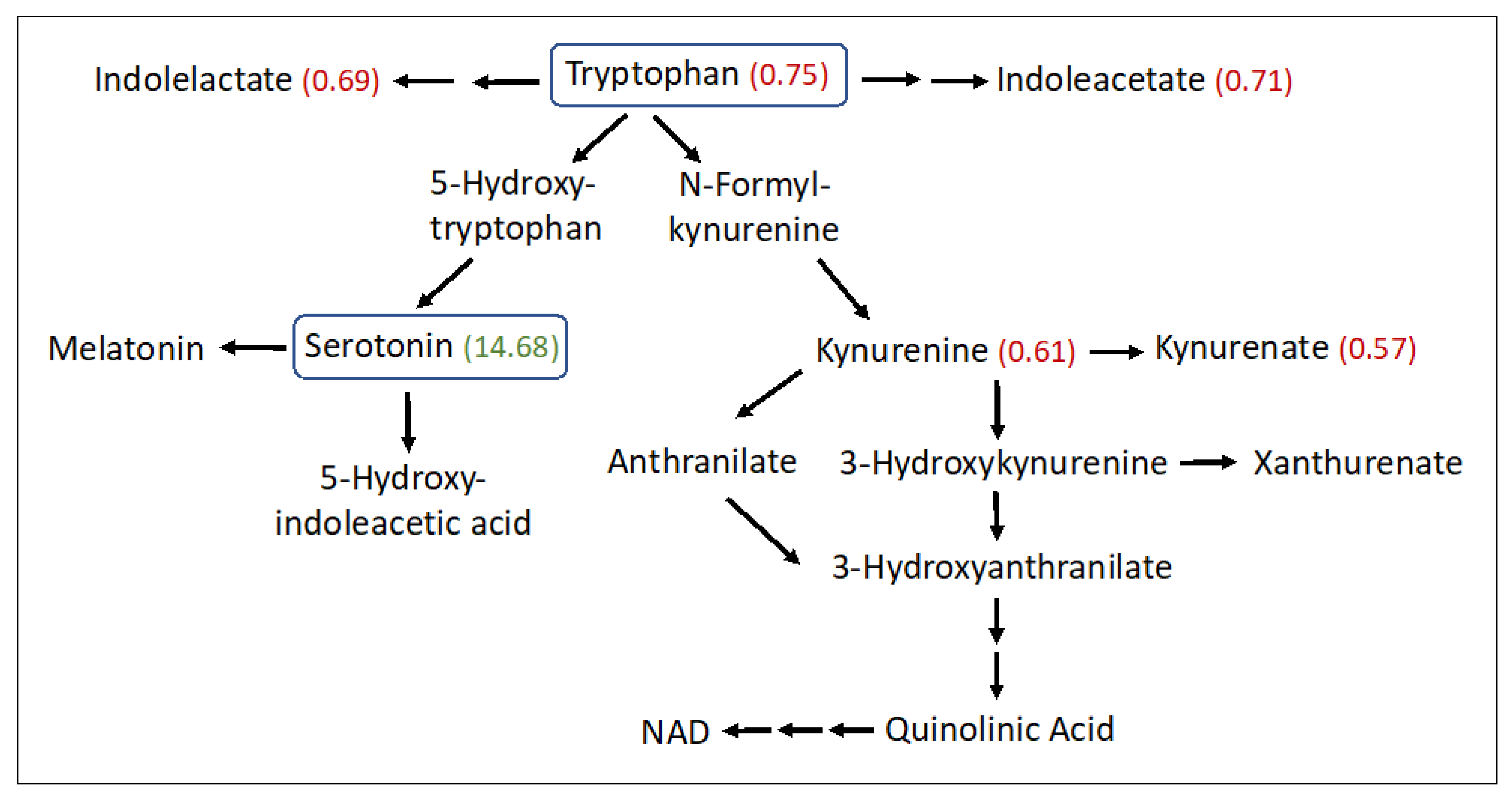 Metabolites 13 00682 g004 Metabolites 13 00682 g004