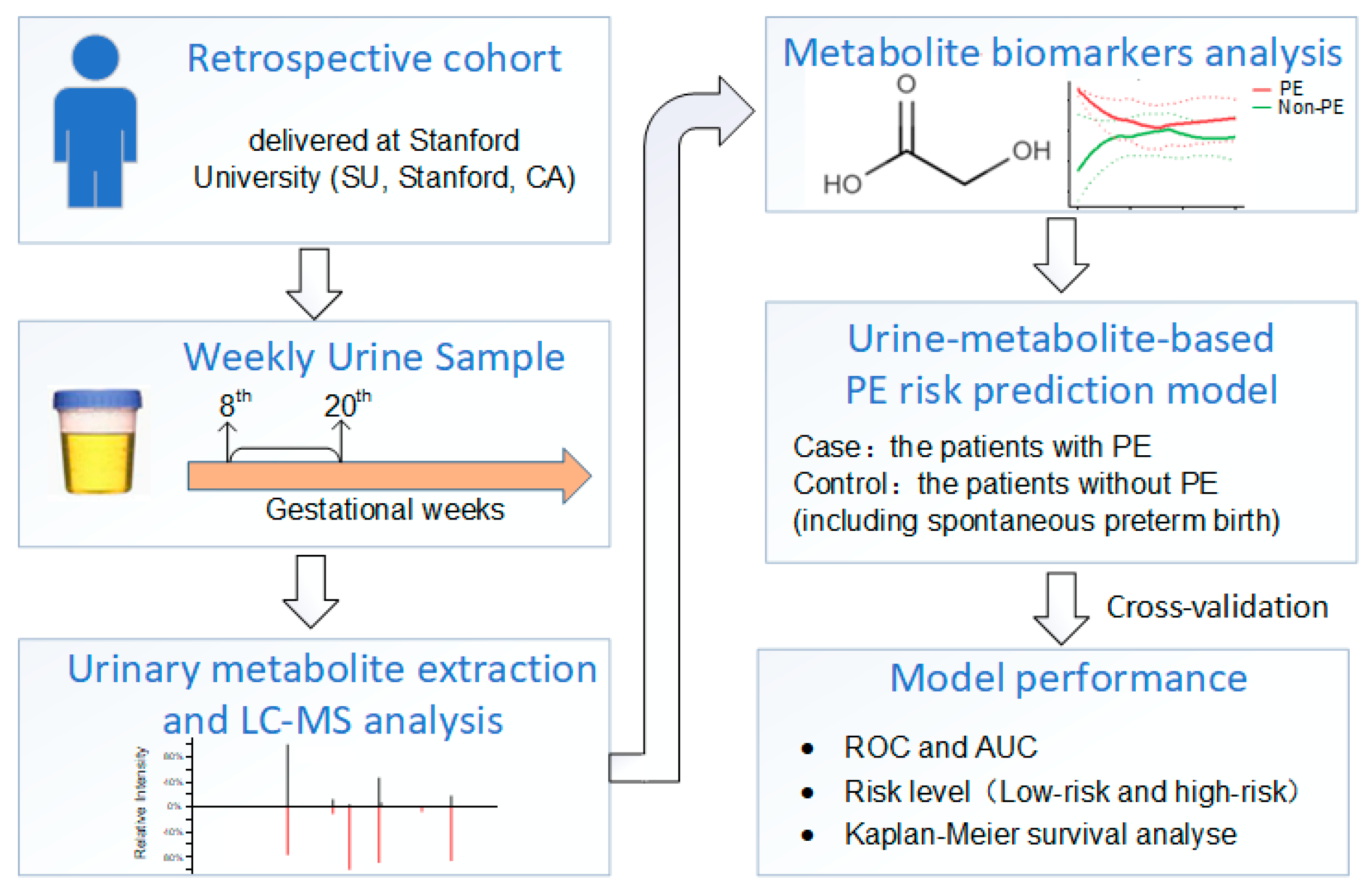Metabolites 13 00715 g002 Metabolites 13 00715 g002