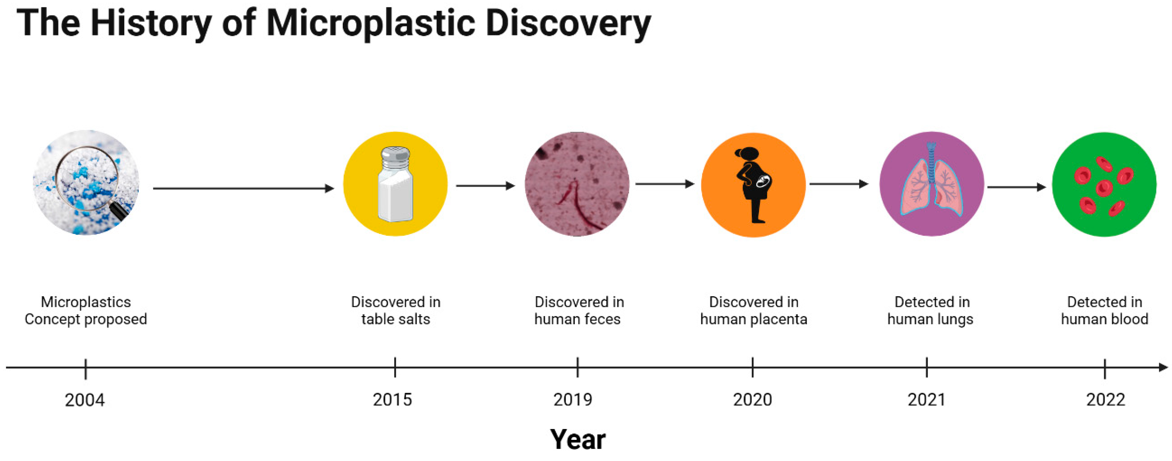 Metabolites 13 00739 g001 Metabolites 13 00739 g001
