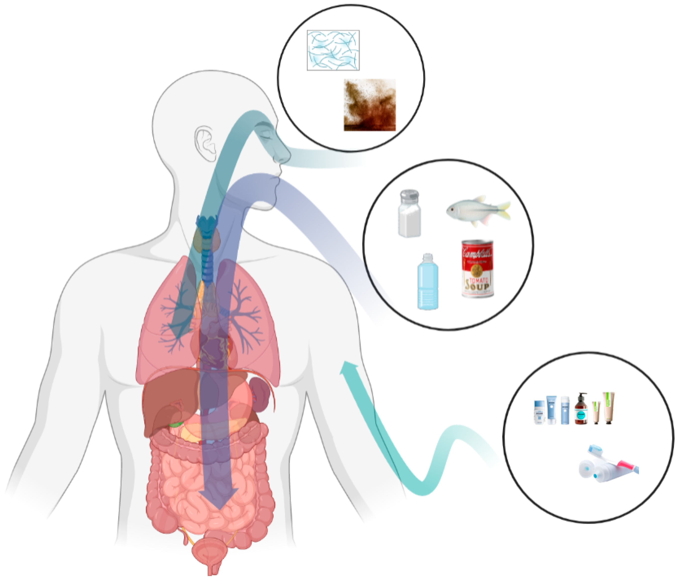 Metabolites 13 00739 g002 Metabolites 13 00739 g002