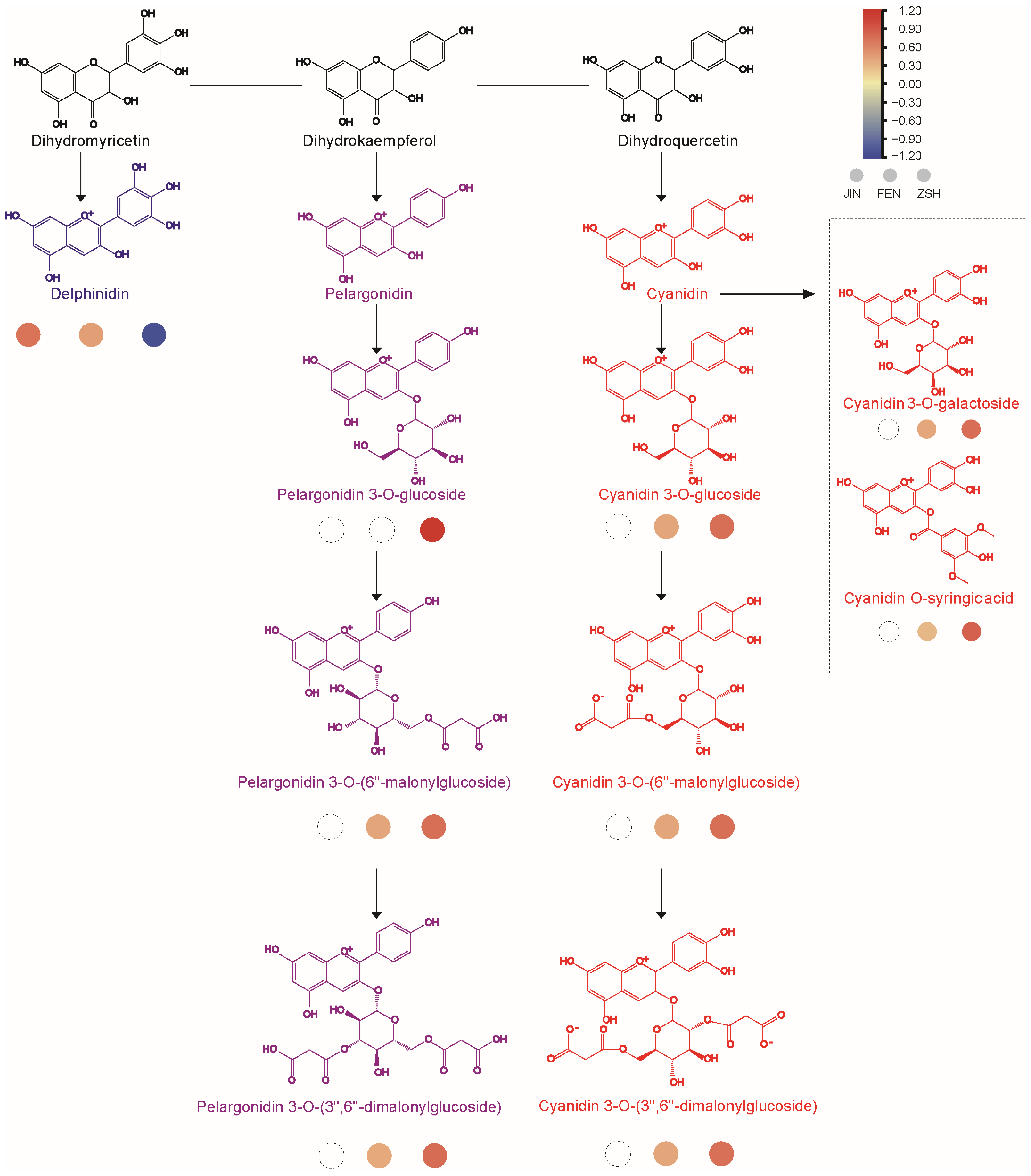 Metabolites 13 00742 g005 Metabolites 13 00742 g005
