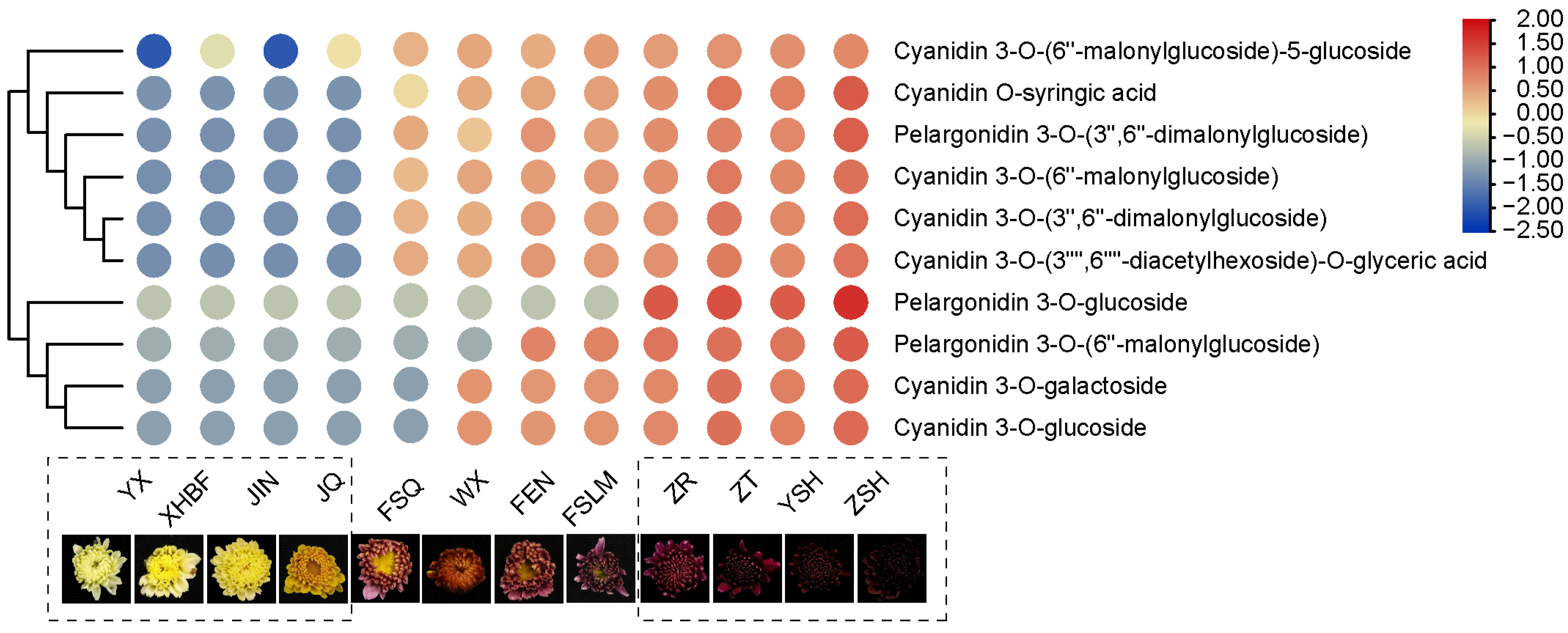 Metabolites 13 00742 g010 Metabolites 13 00742 g010