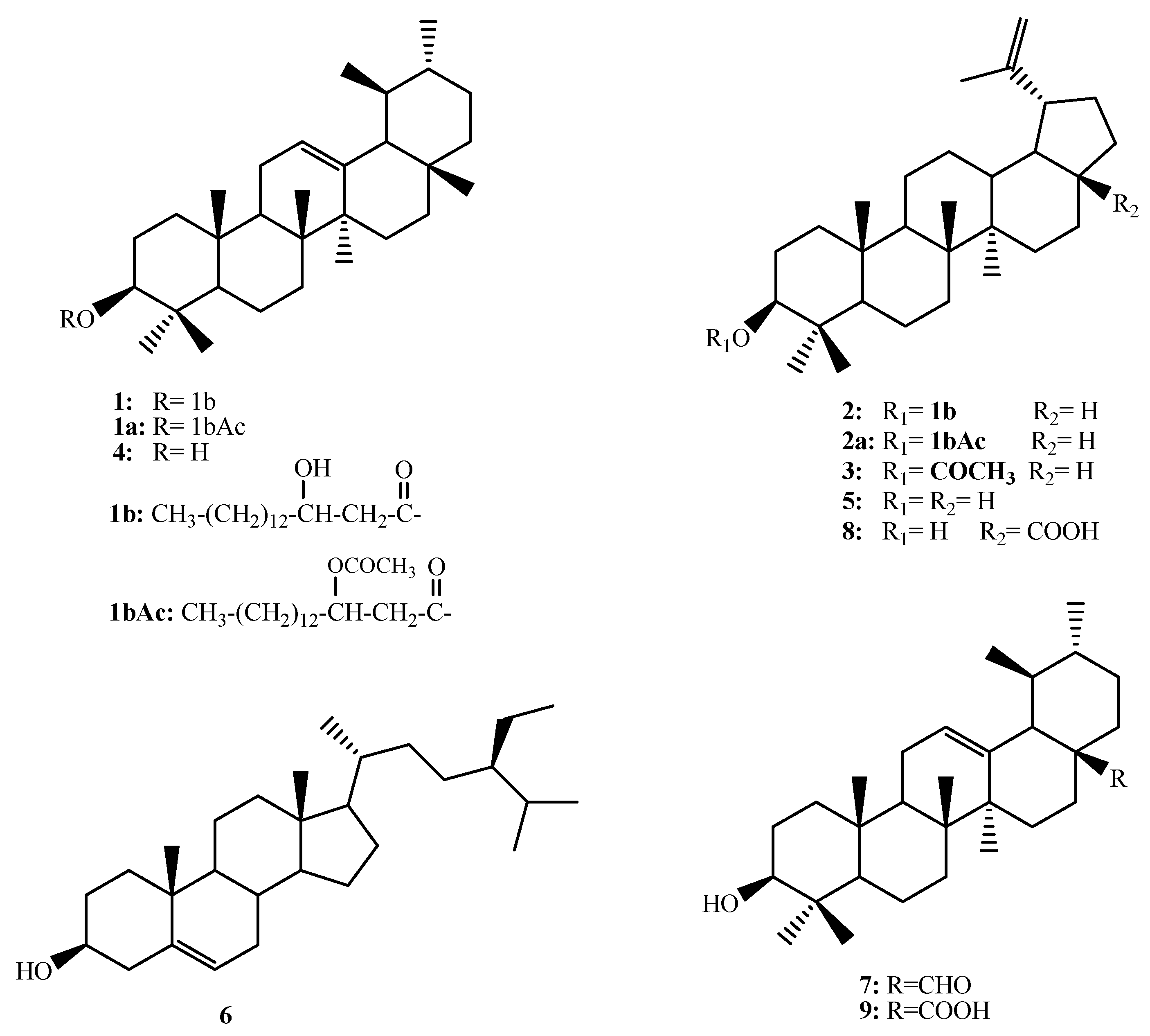 Metabolites 13 00750 g001 Metabolites 13 00750 g001