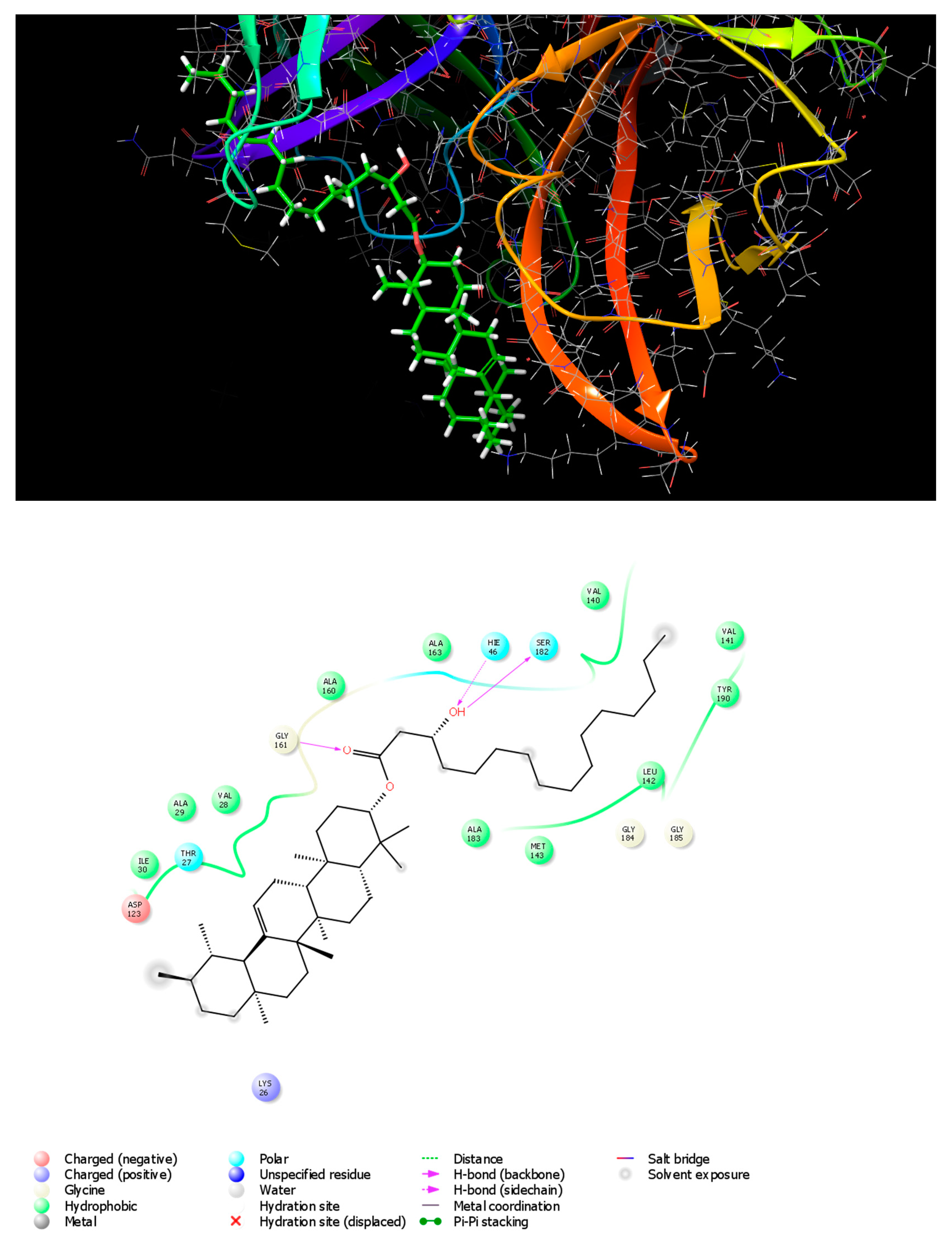 Metabolites 13 00750 g002 Metabolites 13 00750 g002