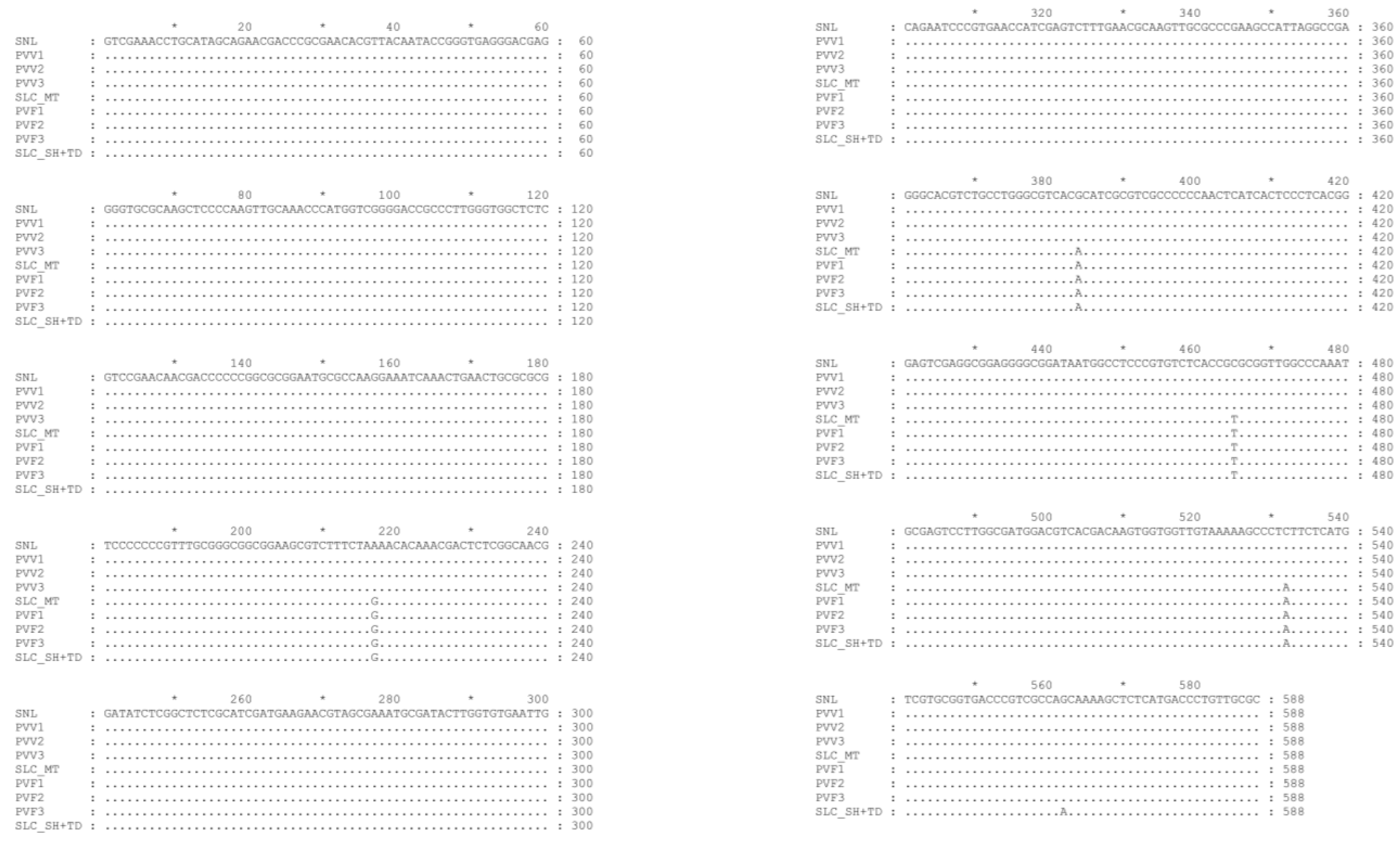 Metabolites 13 00763 g002 Metabolites 13 00763 g002
