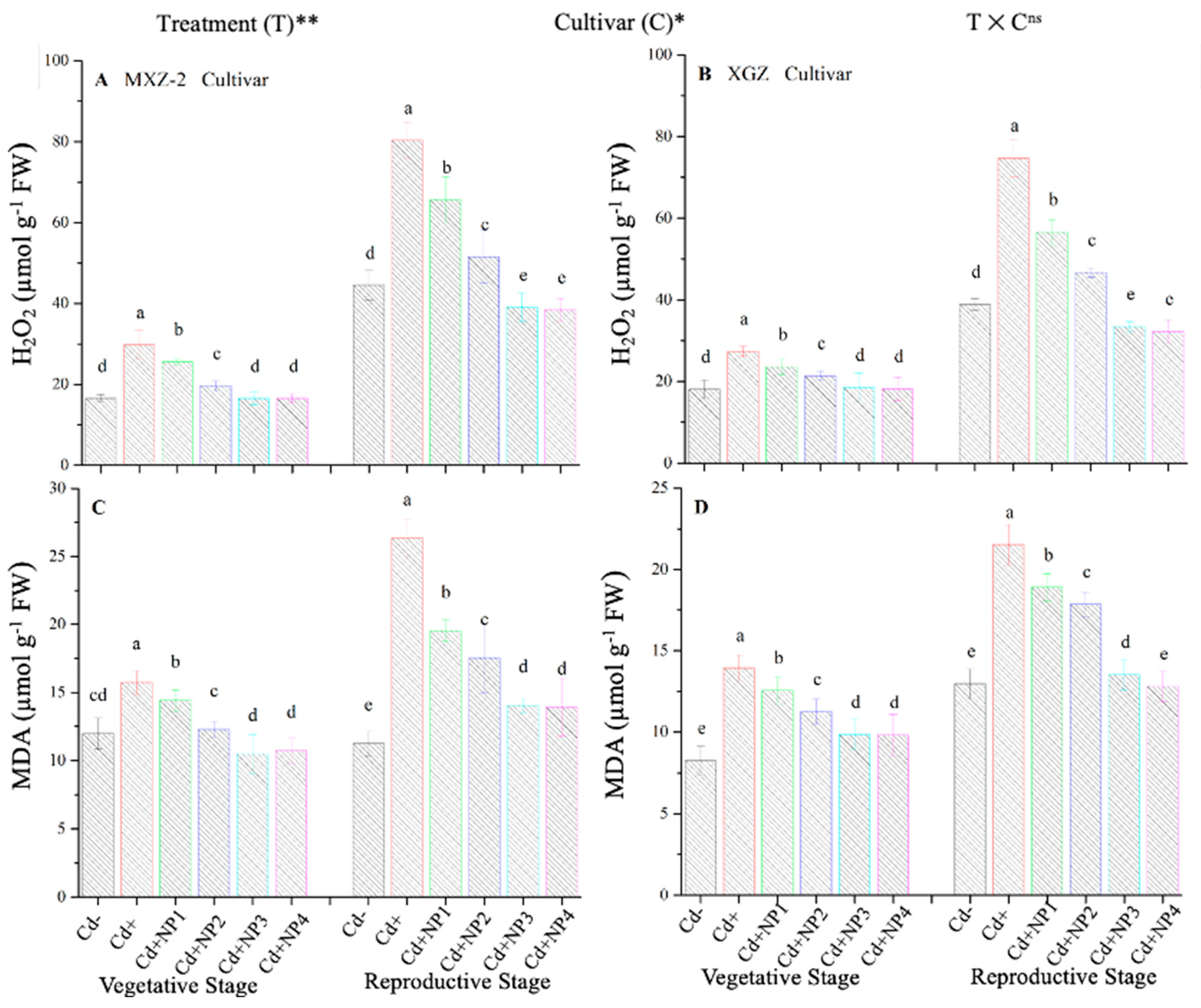 Metabolites 13 00765 g010