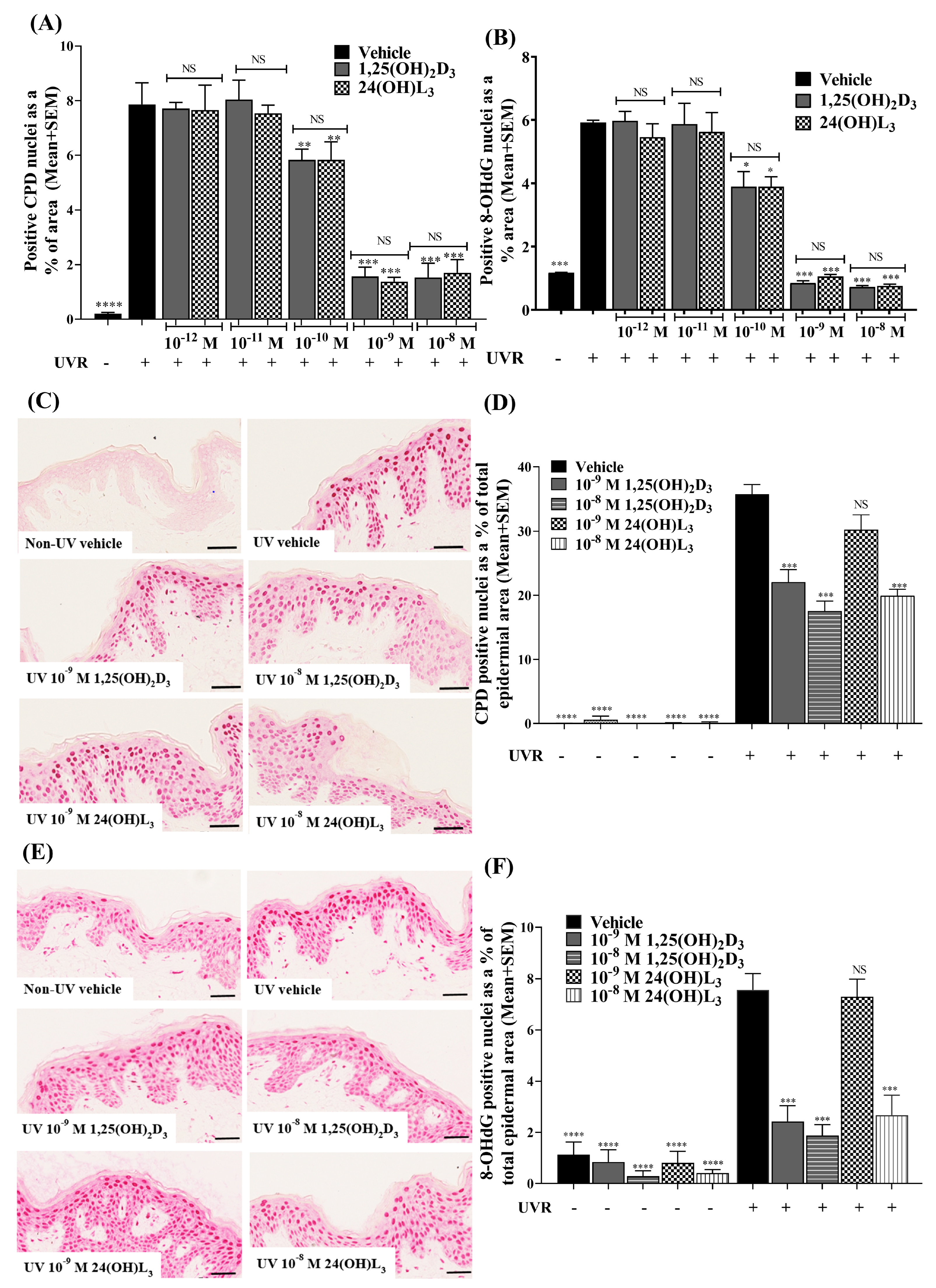 Metabolites 13 00775 g002