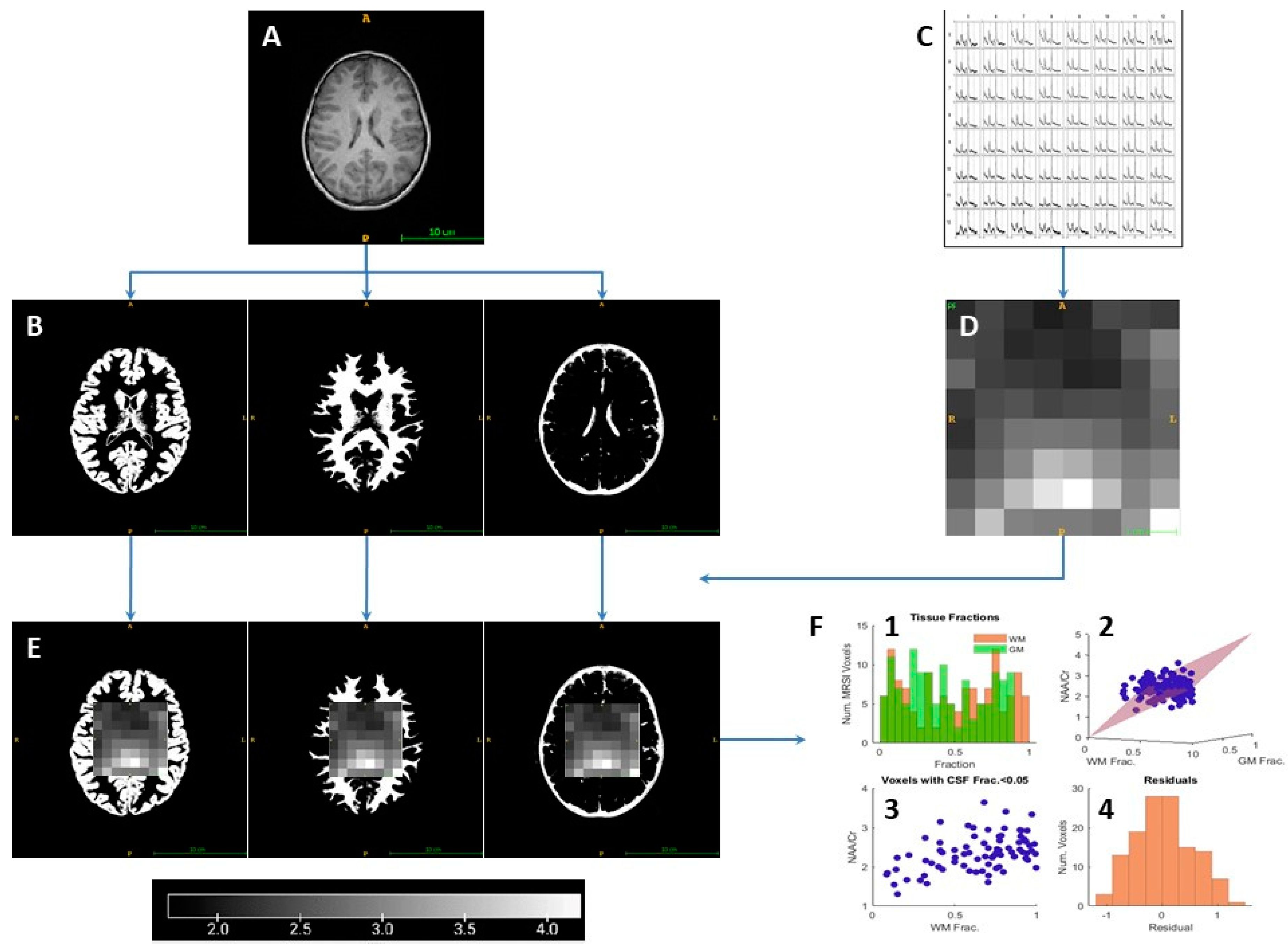 Metabolites 13 00778 g003 Metabolites 13 00778 g003