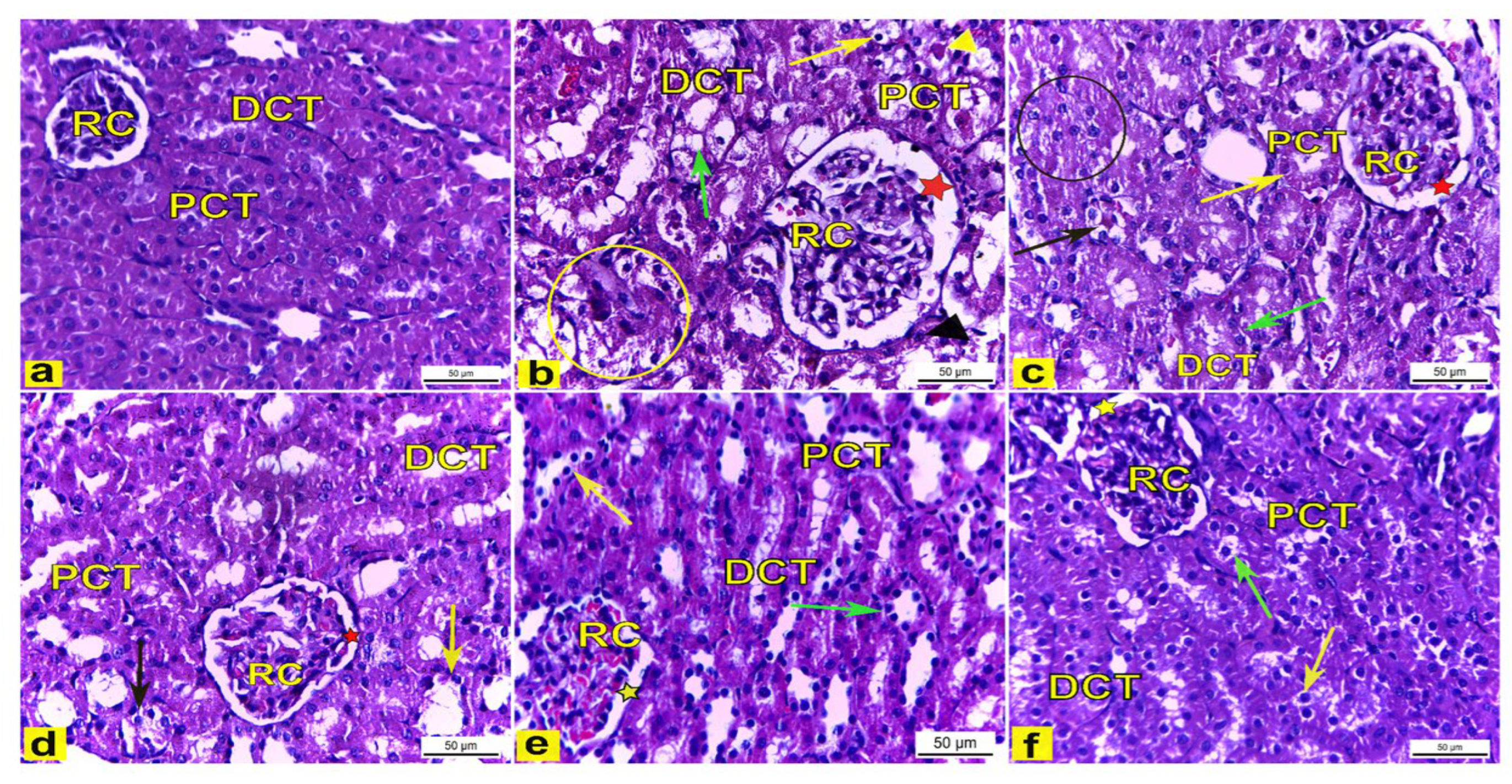 Metabolites 13 00786 g007 Metabolites 13 00786 g007