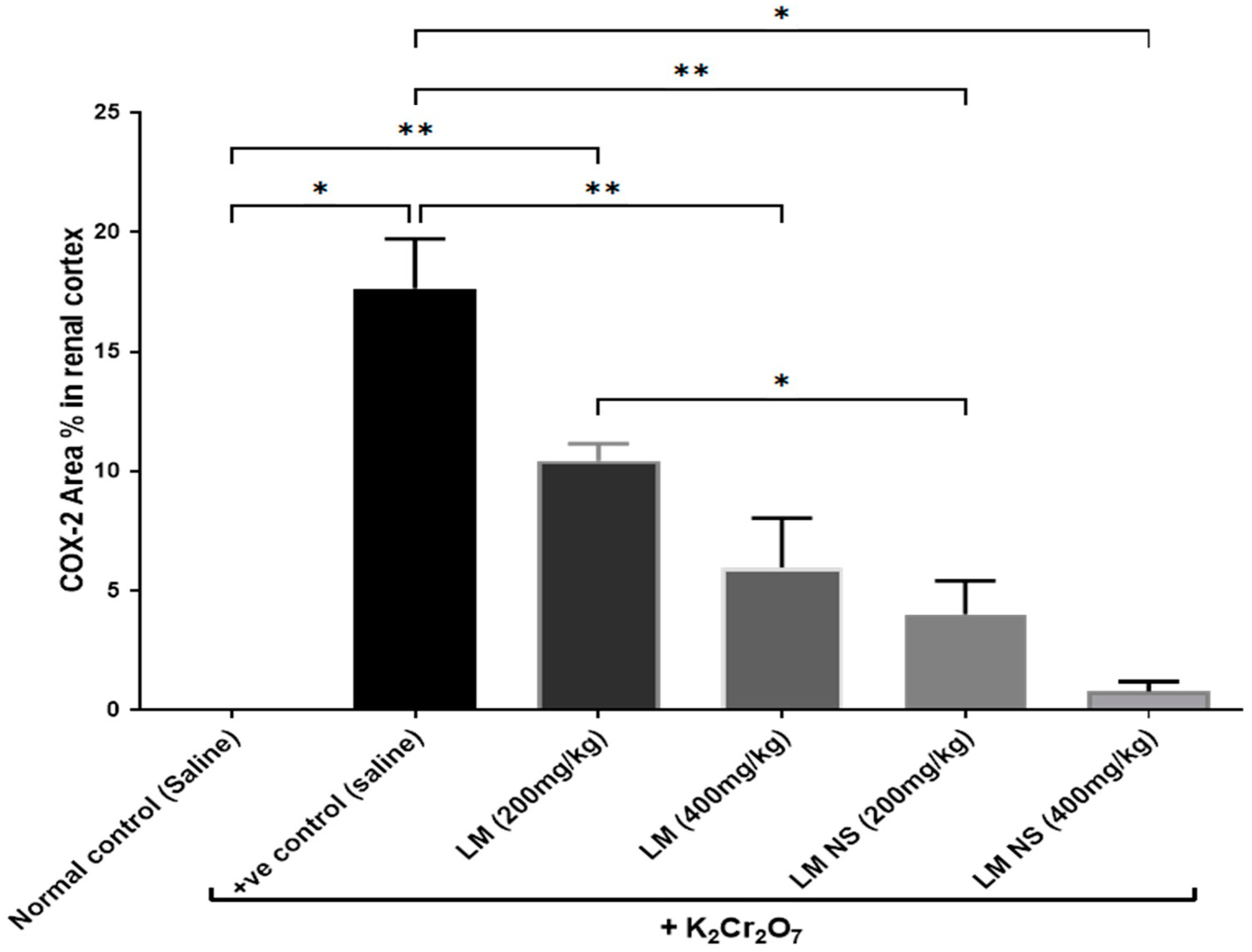 Metabolites 13 00786 g009 Metabolites 13 00786 g009