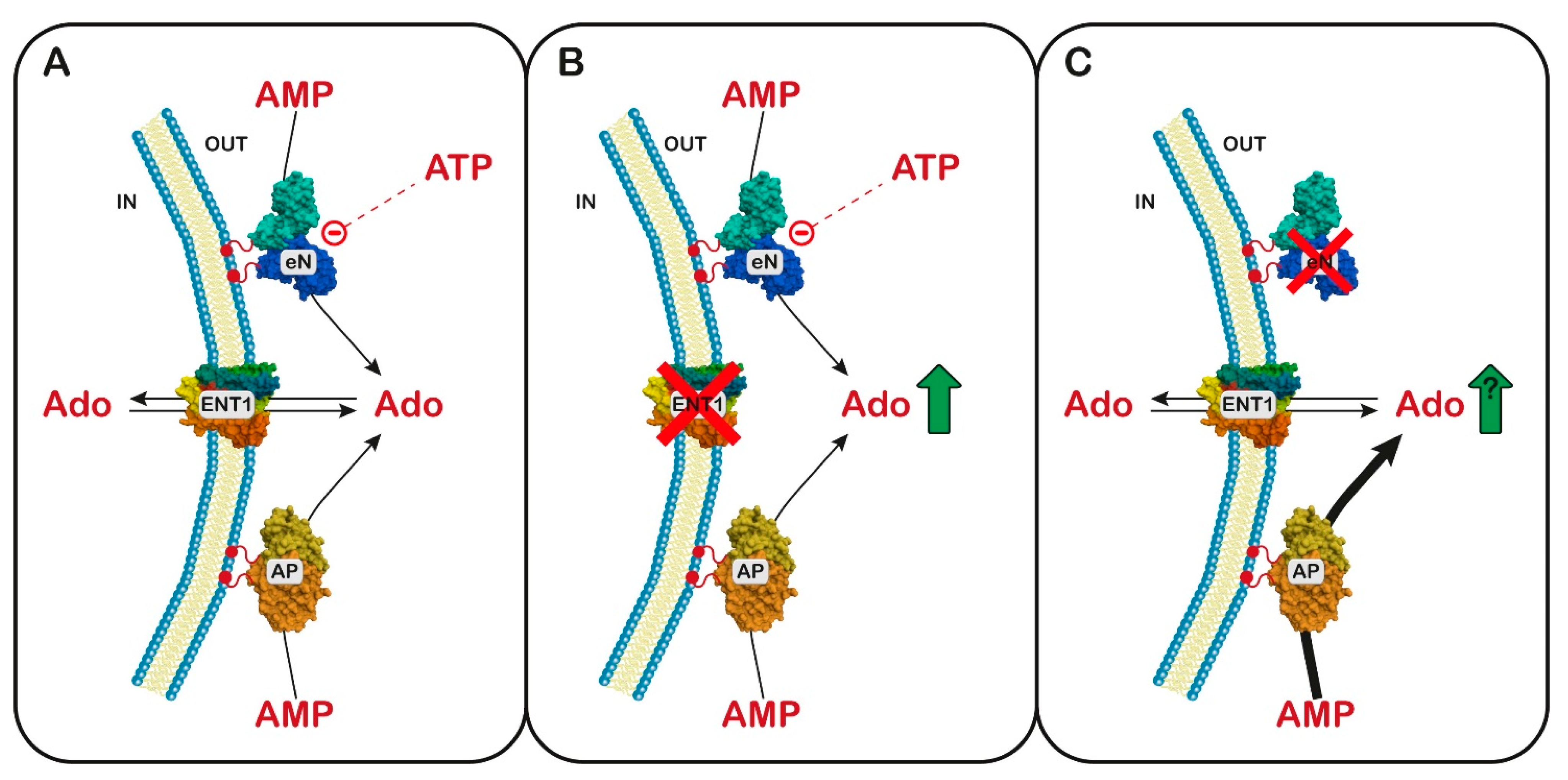 Metabolites 13 00787 g003 Metabolites 13 00787 g003