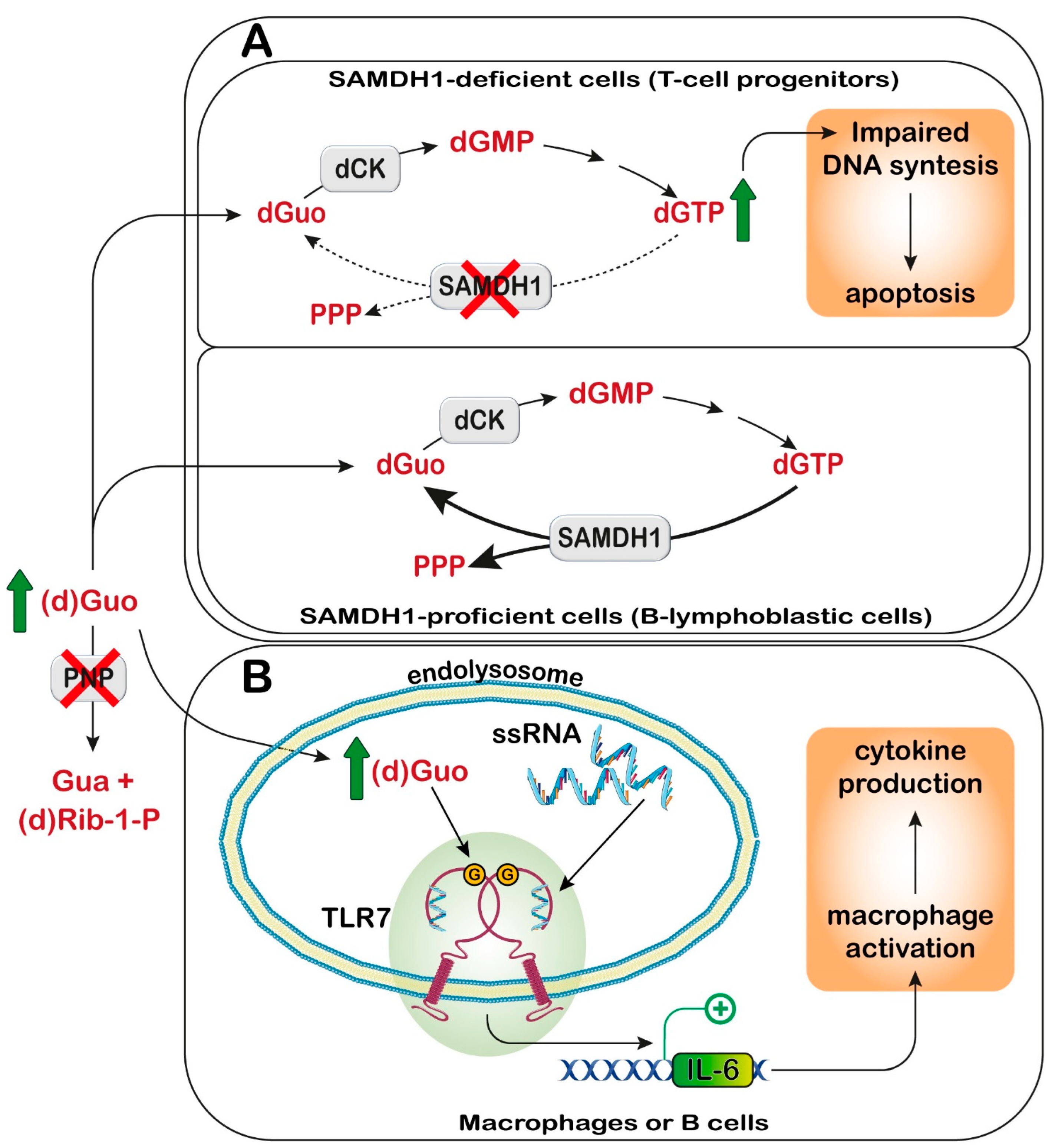 Metabolites 13 00787 g006 Metabolites 13 00787 g006