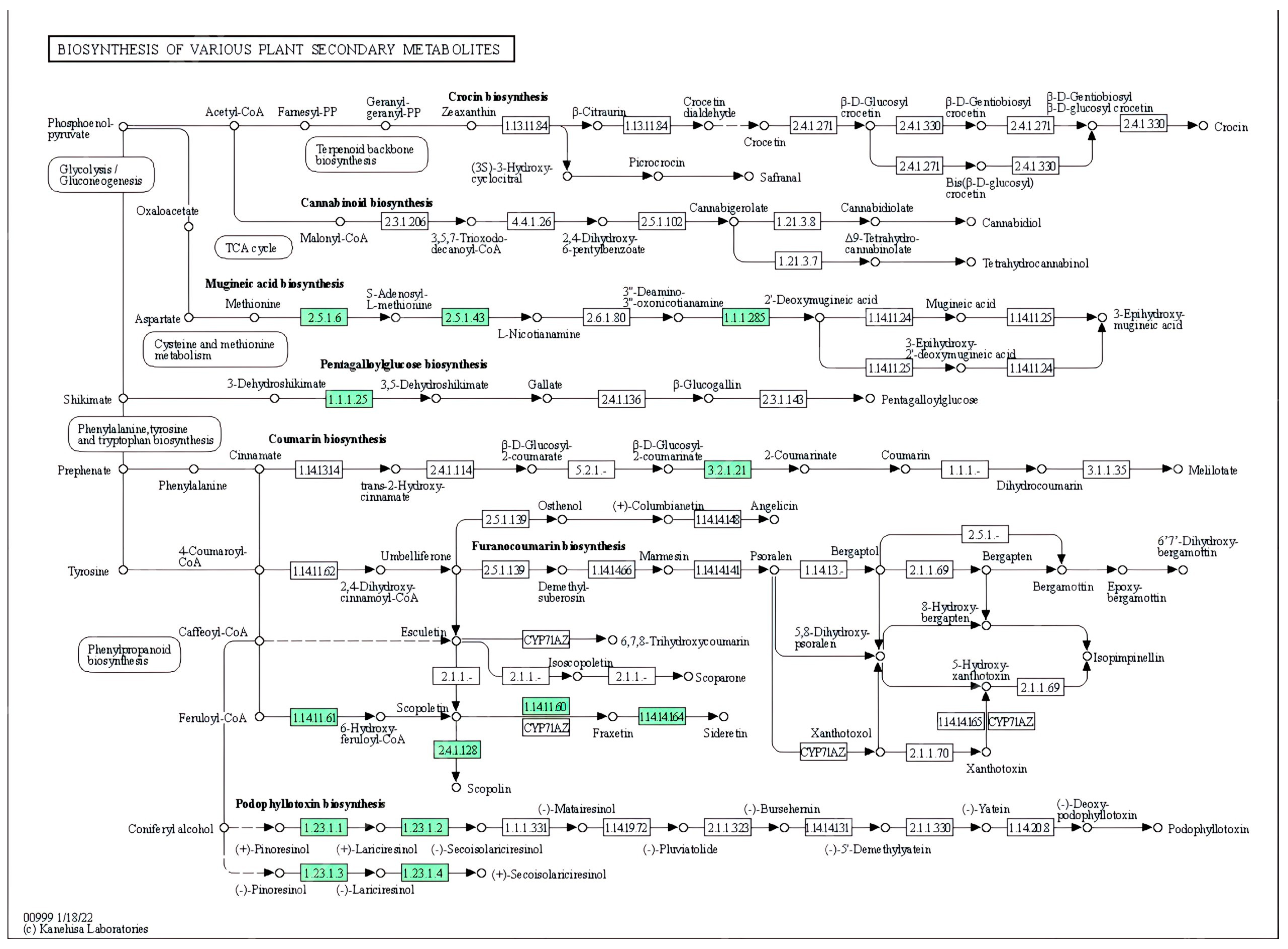 Metabolites 13 00788 g005 Metabolites 13 00788 g005