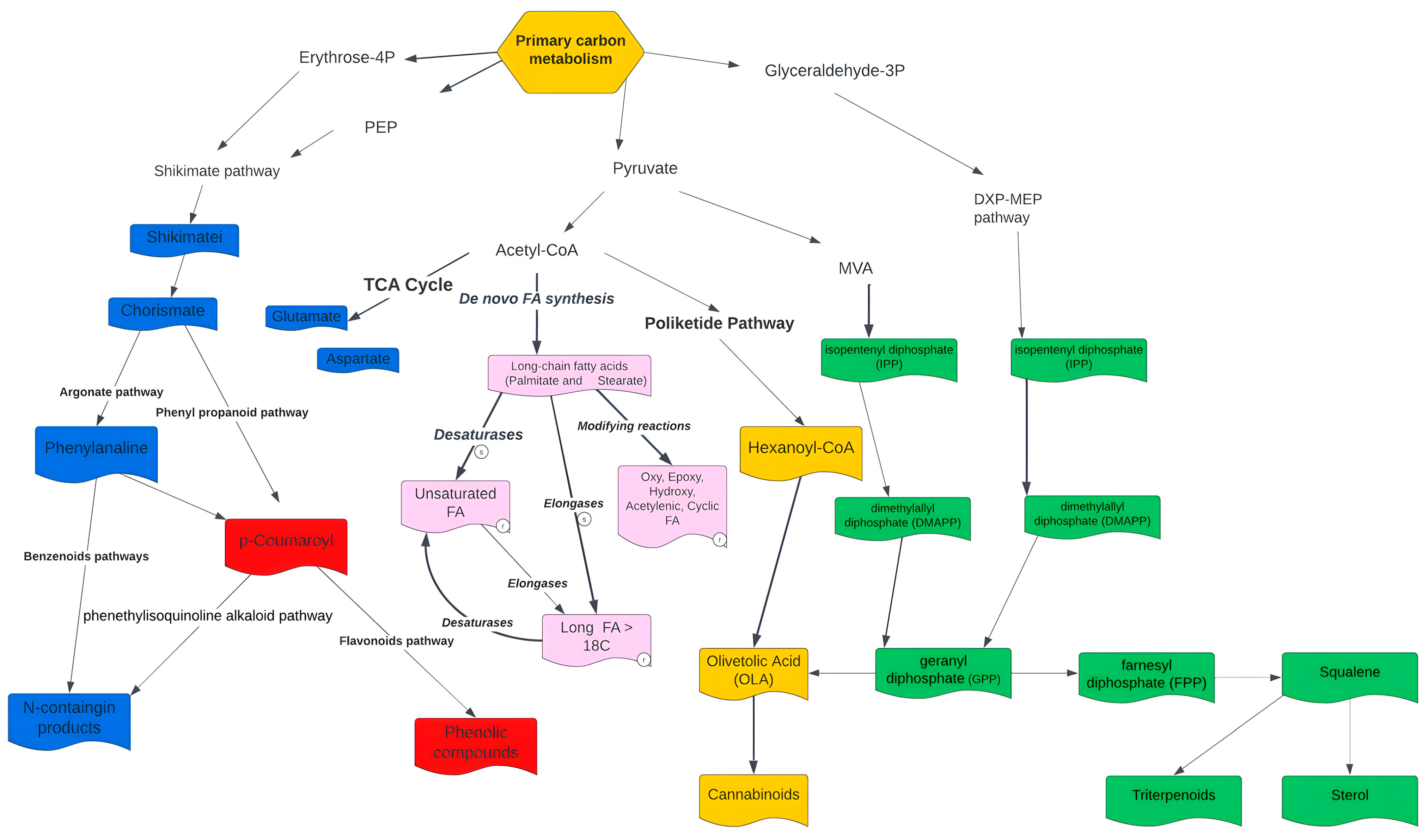 Metabolites 13 00788 g006 Metabolites 13 00788 g006