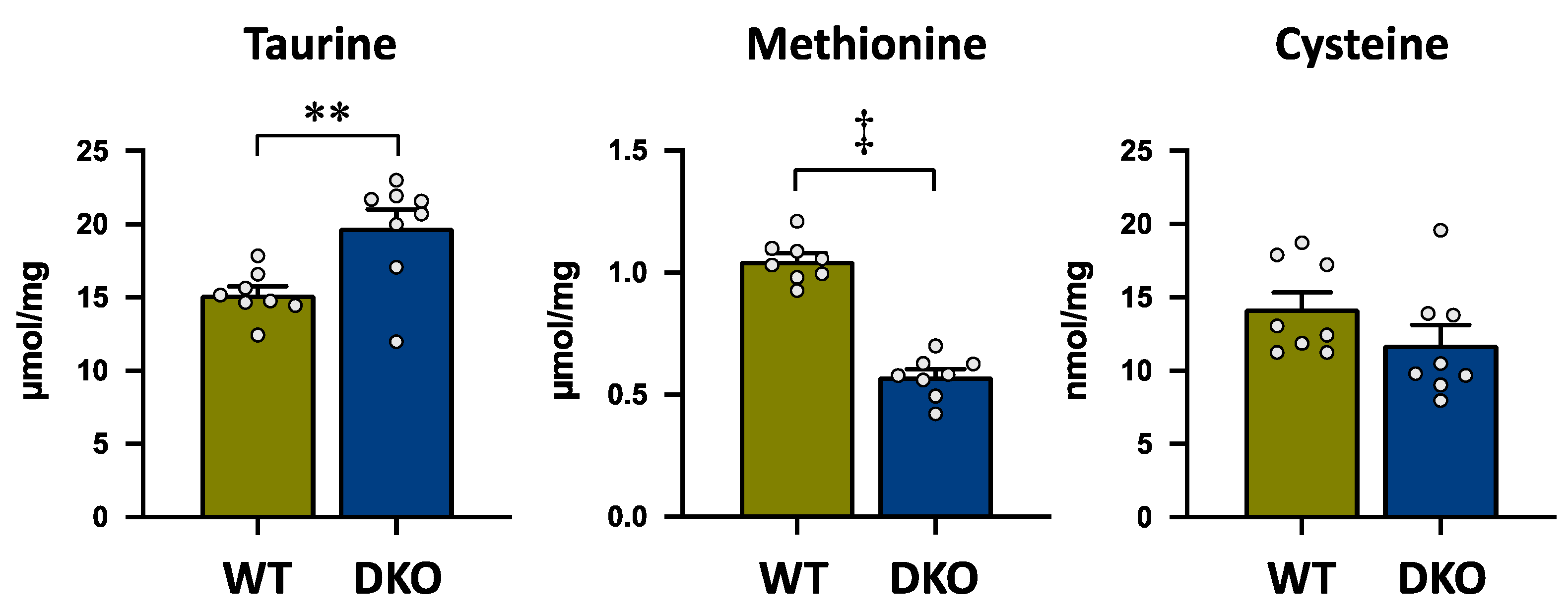 Metabolites 13 00824 g003