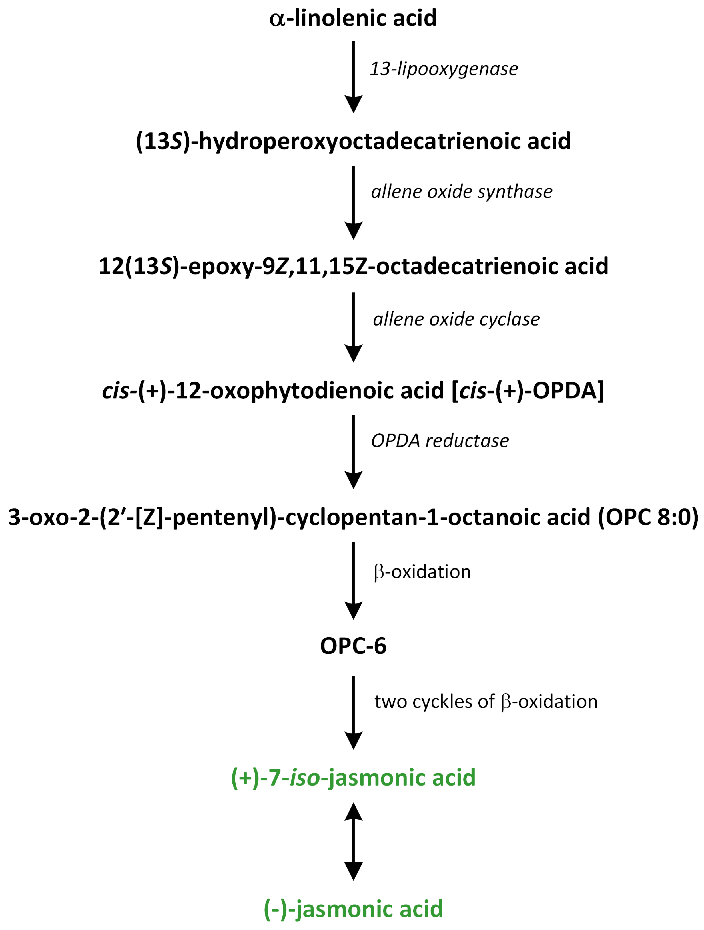 Metabolites 13 00884 g014