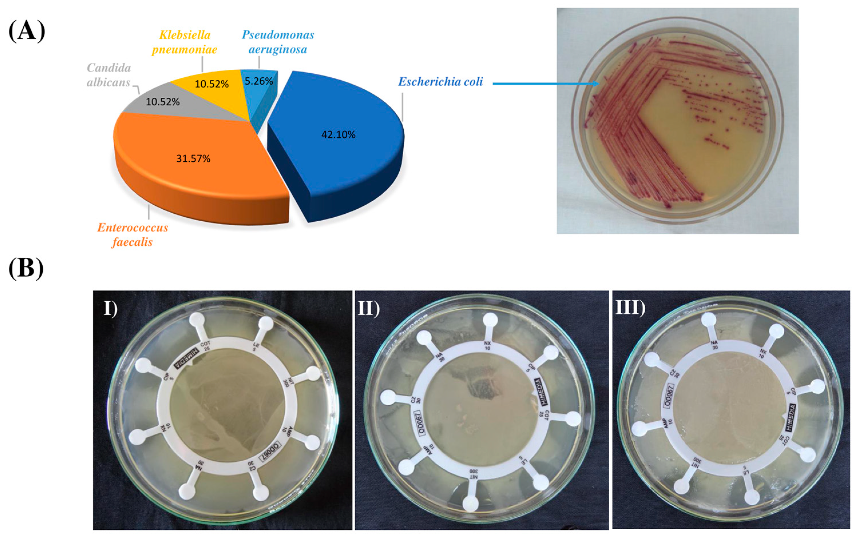 Metabolites 13 00911 g002