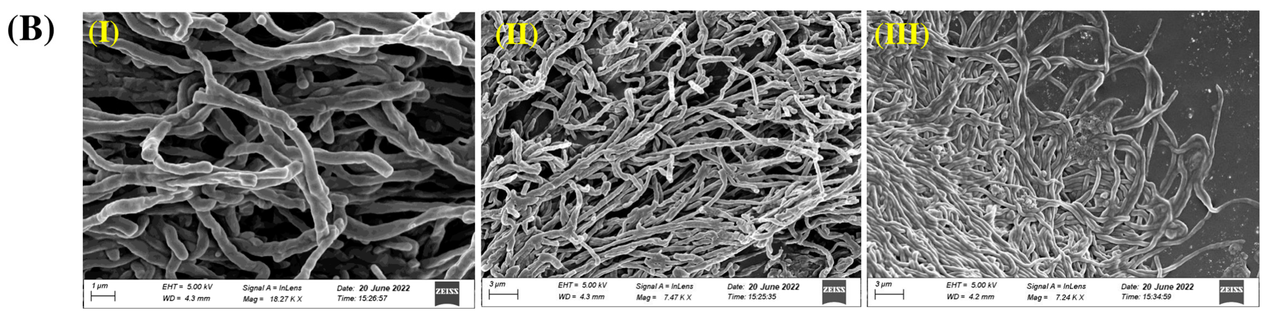 Metabolites 13 00911 g003b
