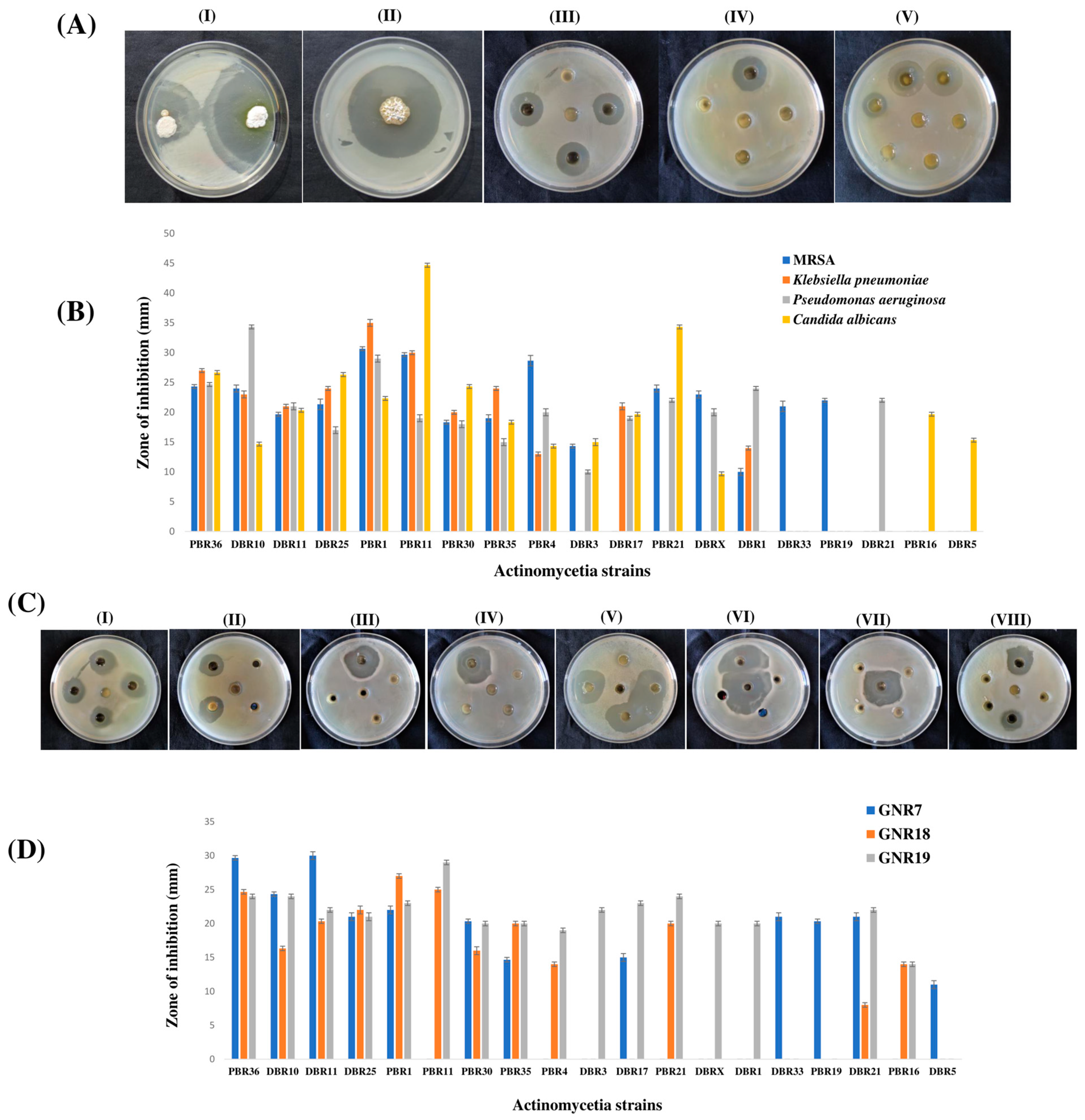 Metabolites 13 00911 g004