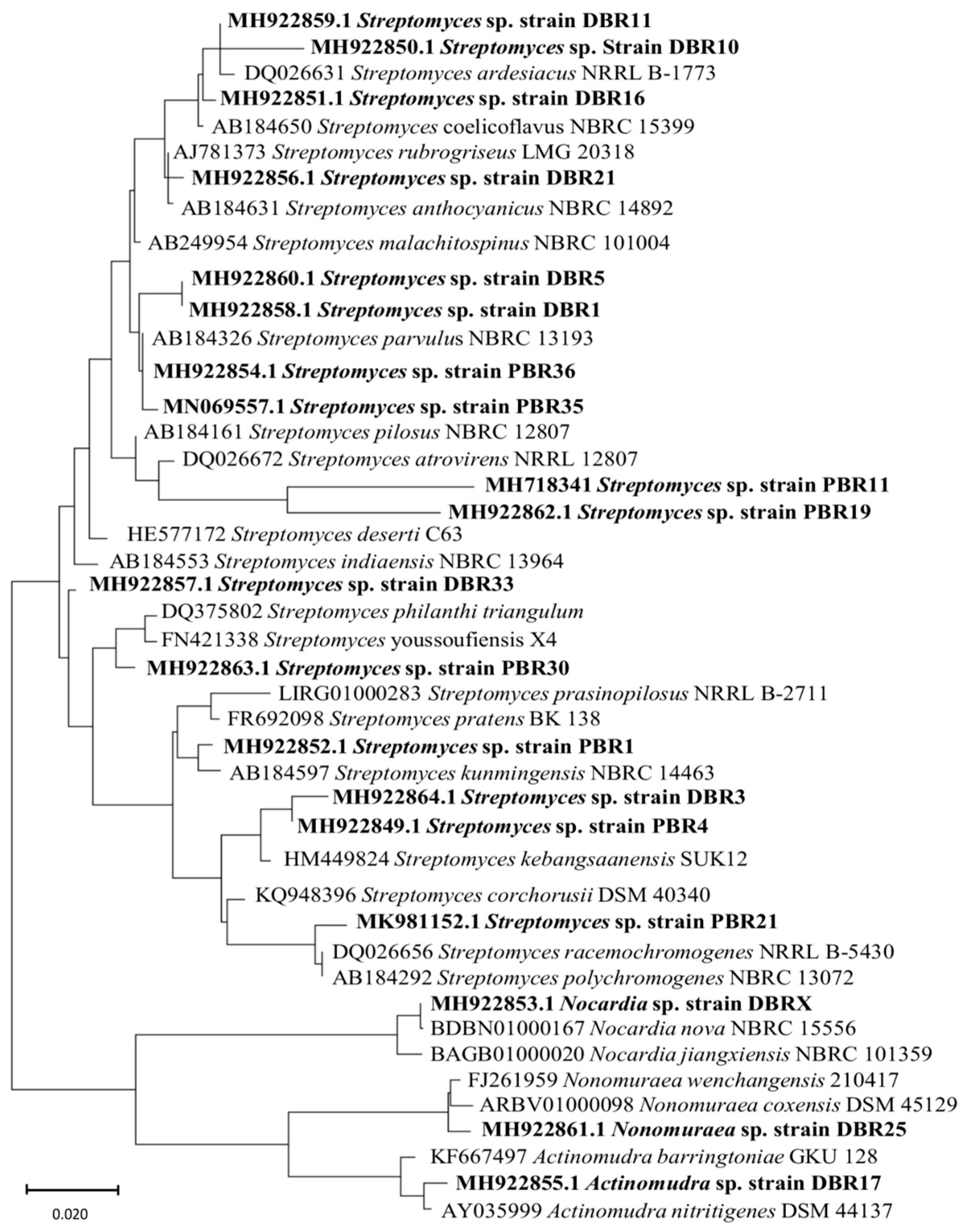 Metabolites 13 00911 g006