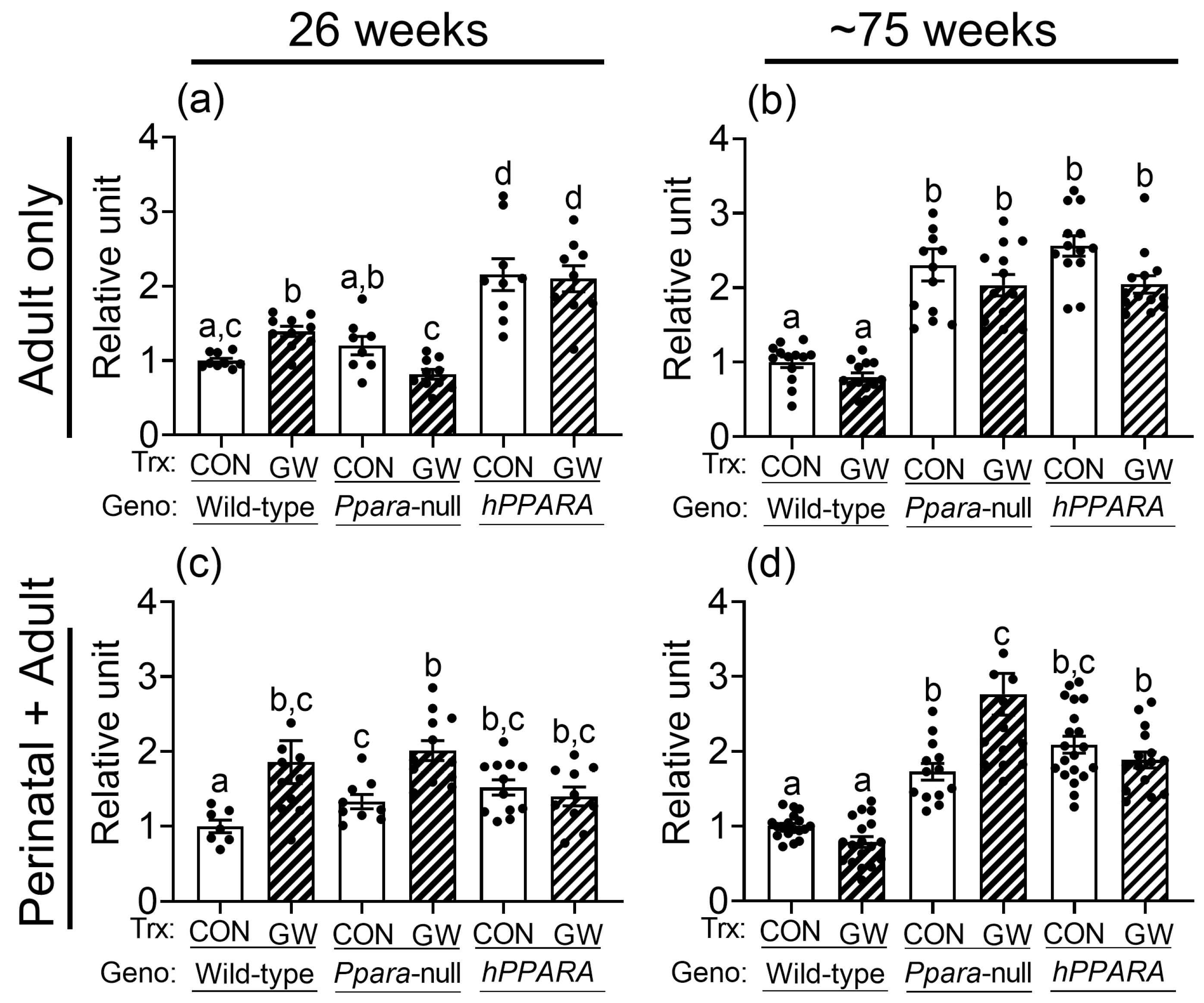 Metabolites 13 00936 g002 Metabolites 13 00936 g002