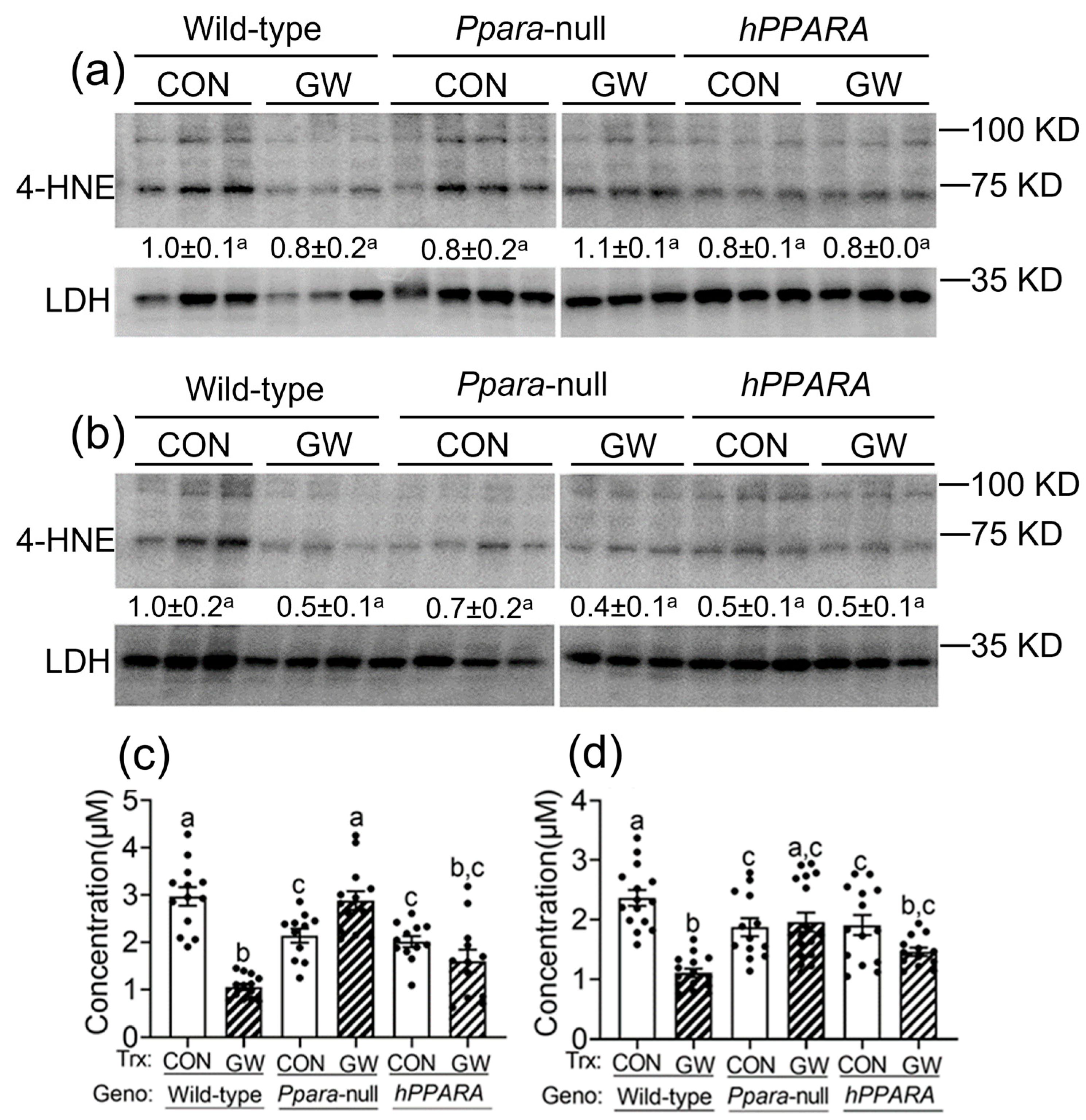 Metabolites 13 00936 g003 Metabolites 13 00936 g003
