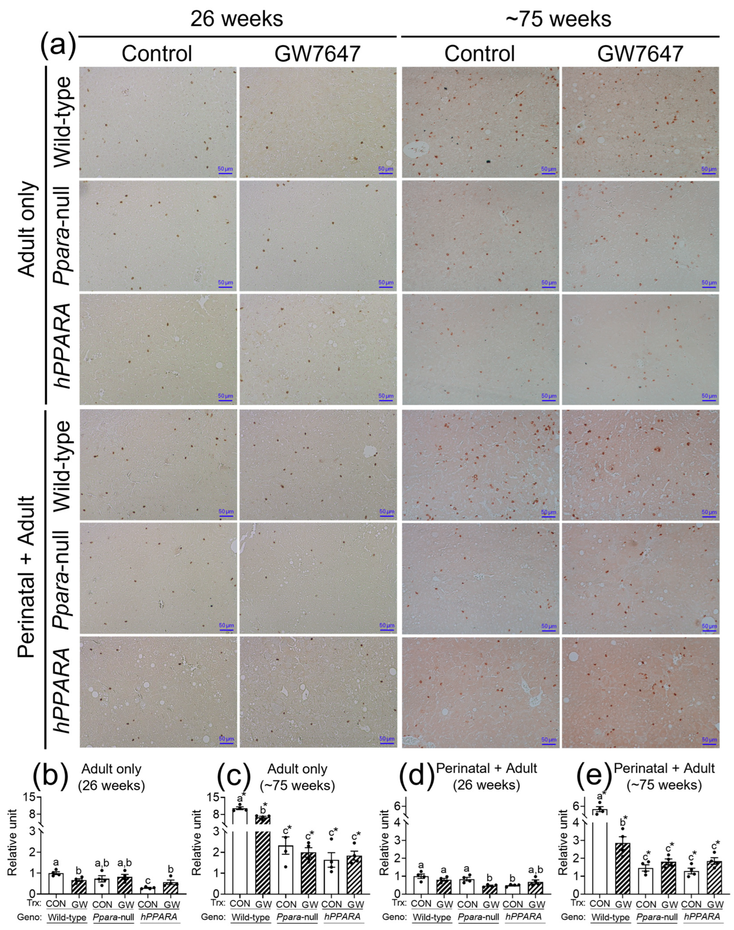Metabolites 13 00936 g004 Metabolites 13 00936 g004
