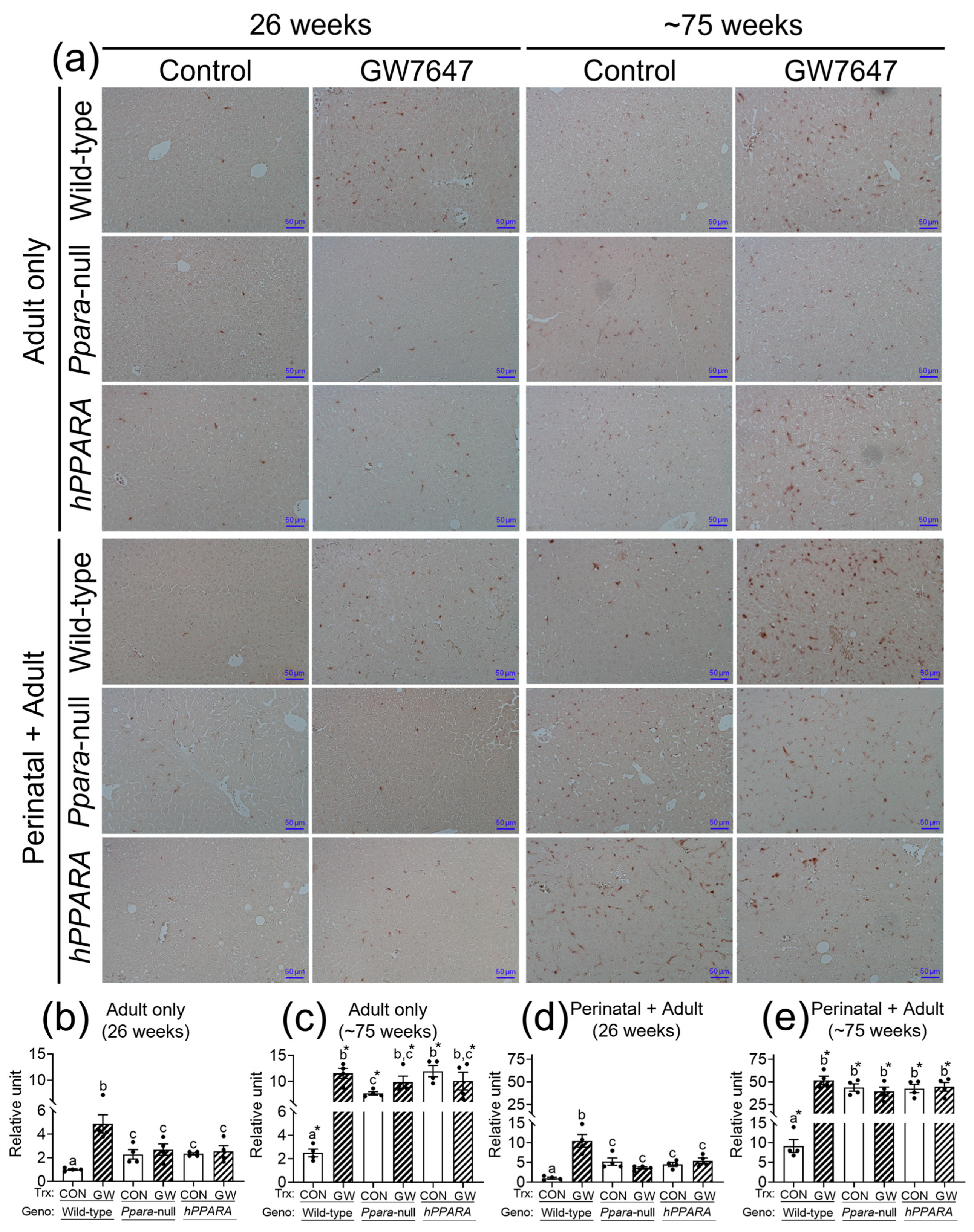Metabolites 13 00936 g005 Metabolites 13 00936 g005