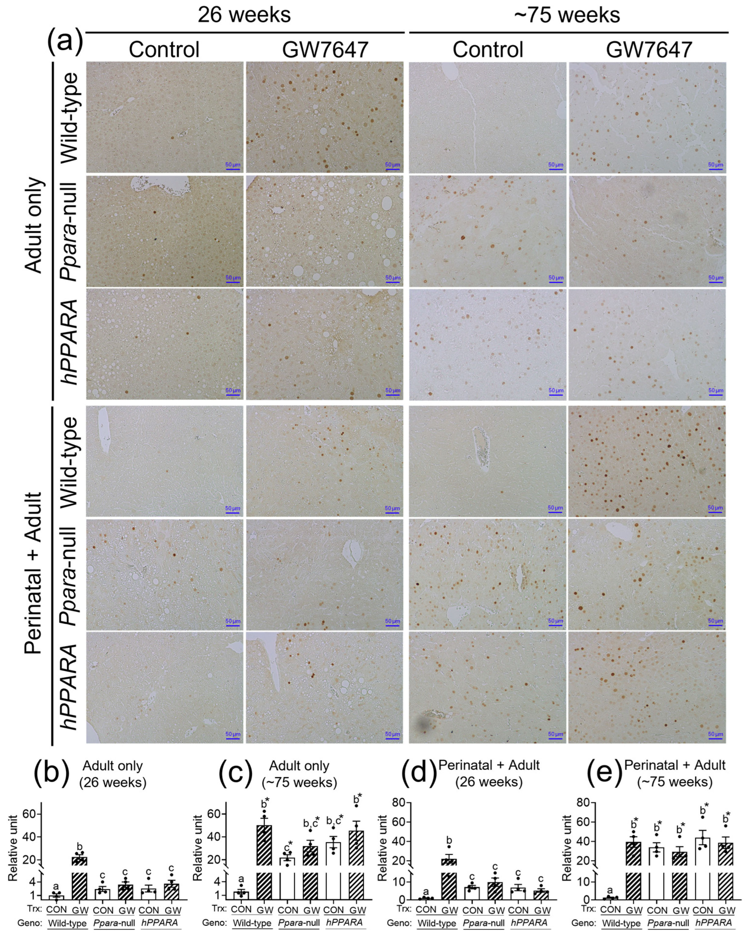 Metabolites 13 00936 g006 Metabolites 13 00936 g006