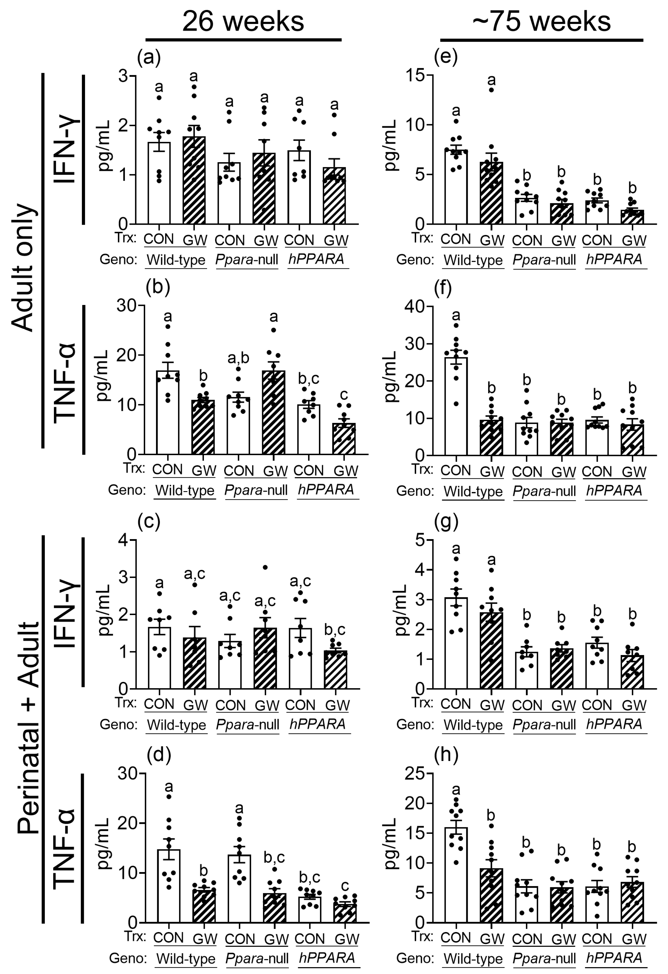 Metabolites 13 00936 g007 Metabolites 13 00936 g007