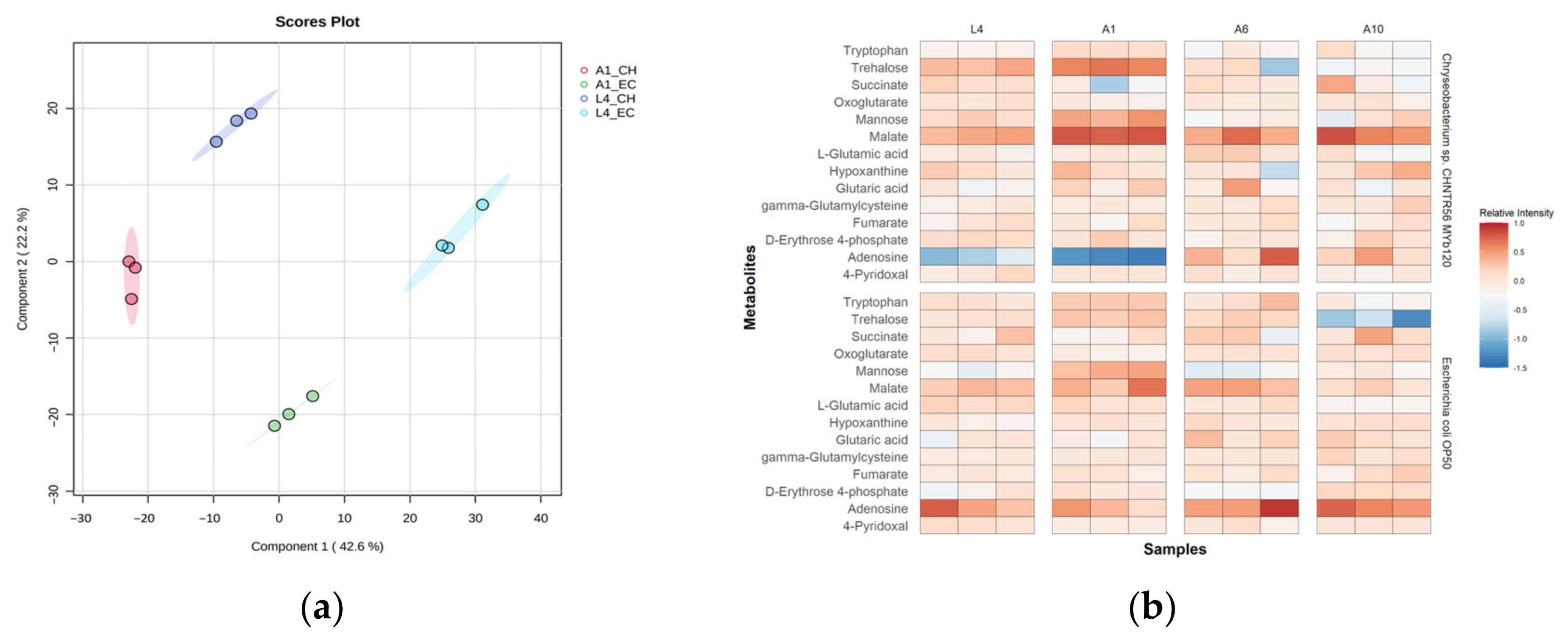 Metabolites 13 00953 g005 Metabolites 13 00953 g005