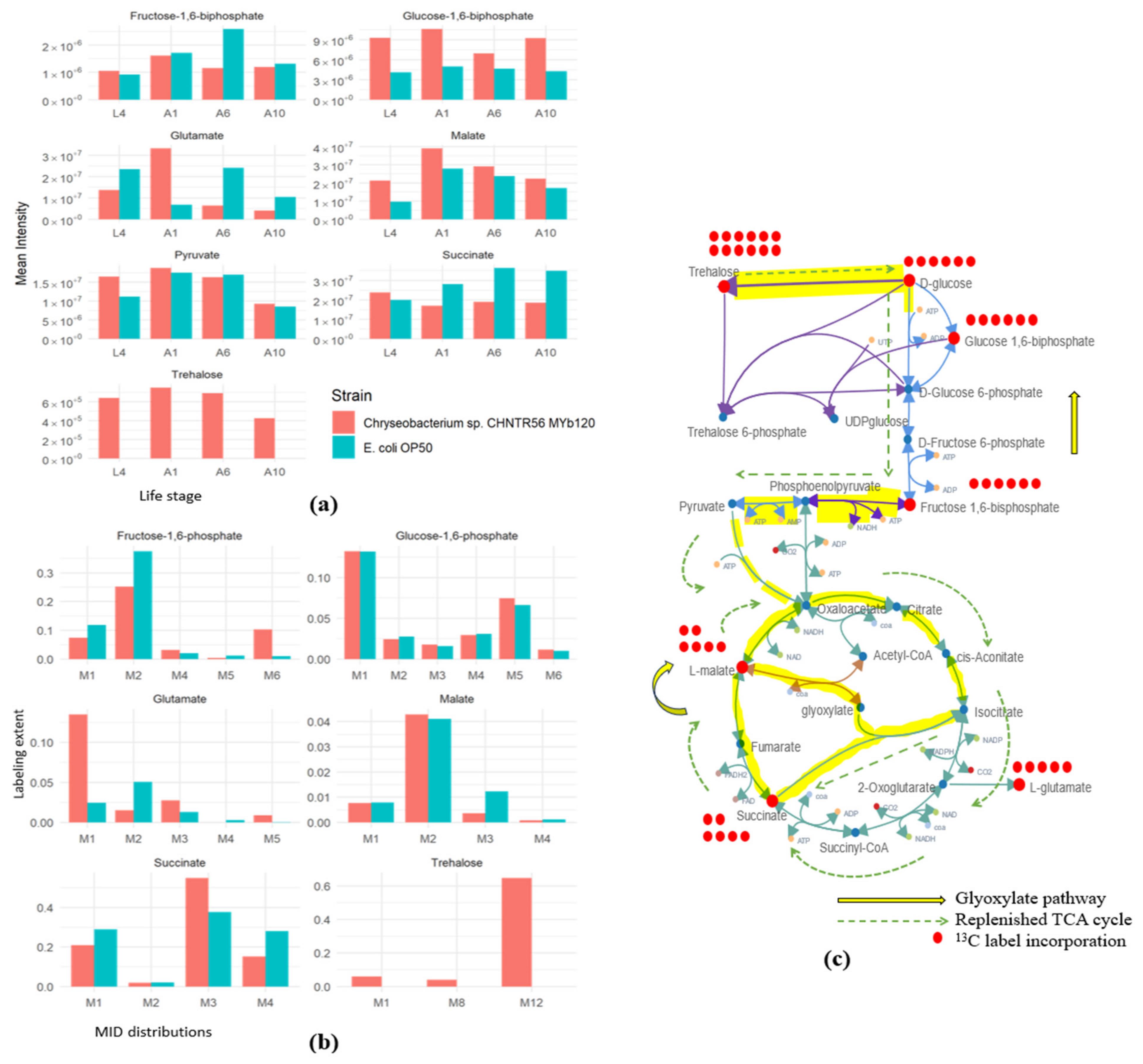 Metabolites 13 00953 g006 Metabolites 13 00953 g006