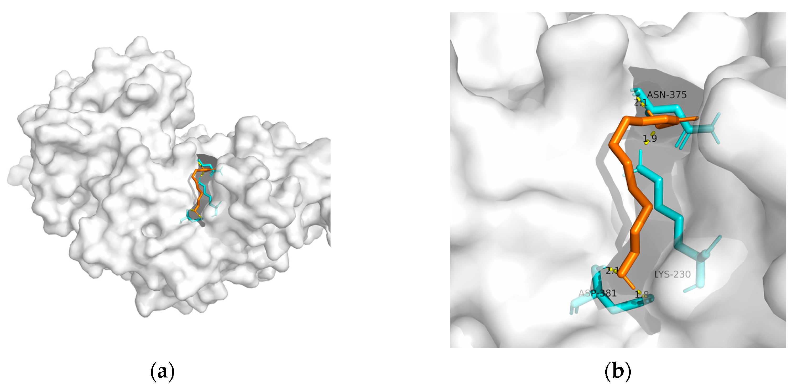 Metabolites 13 00954 g003