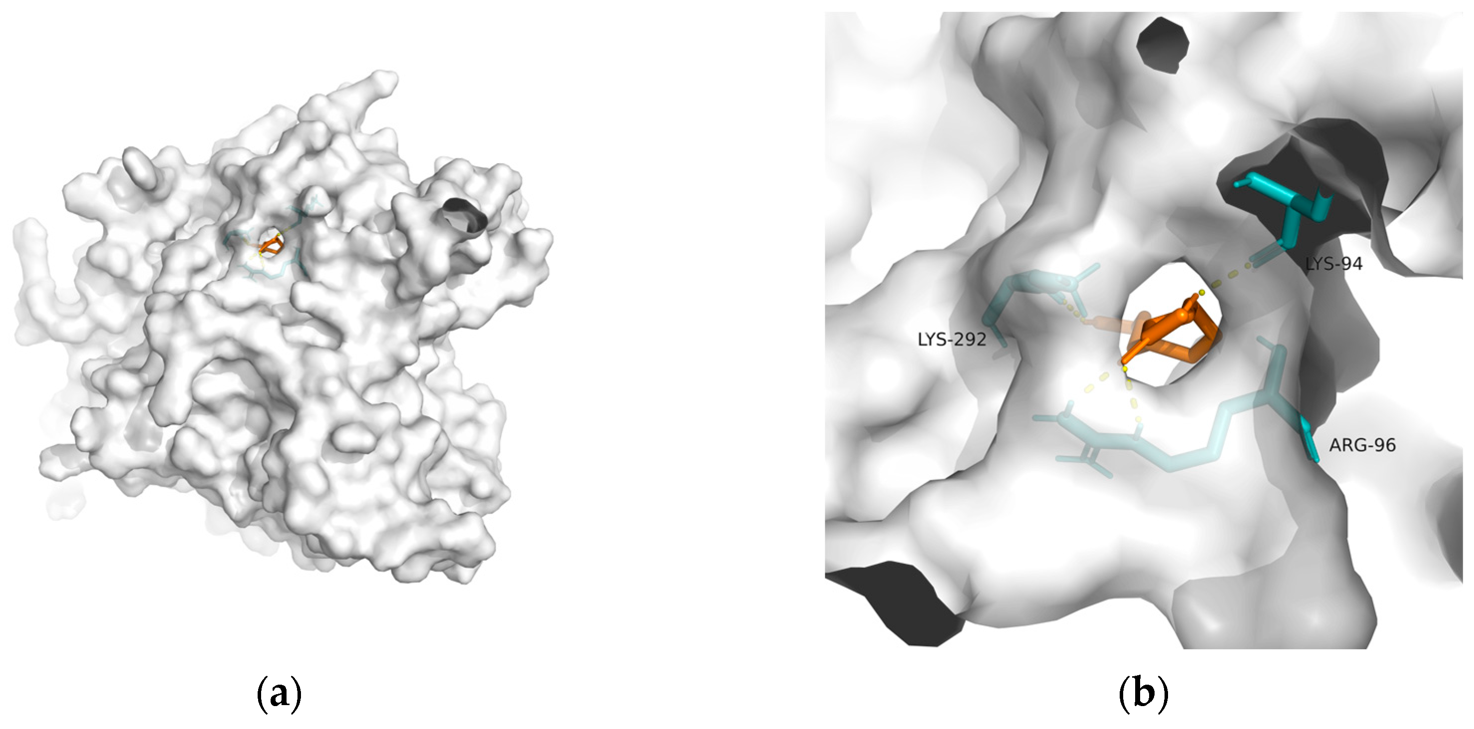 Metabolites 13 00954 g005