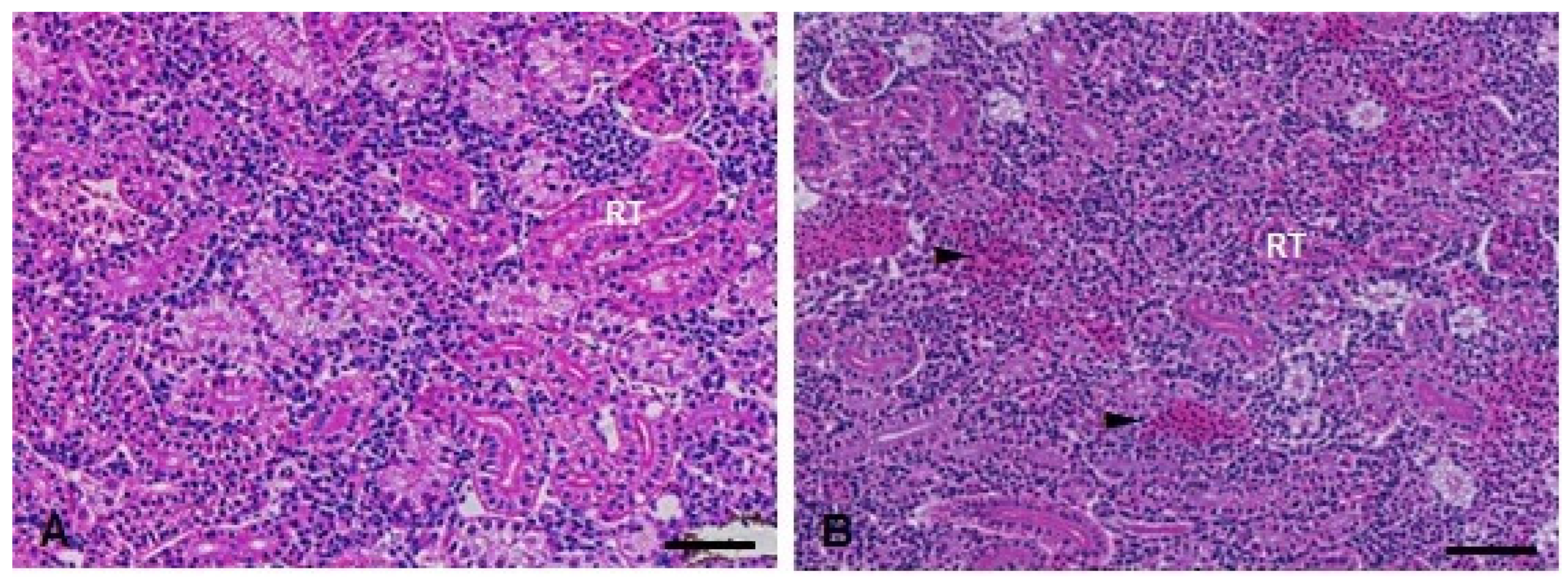 Metabolites 13 00975 g009