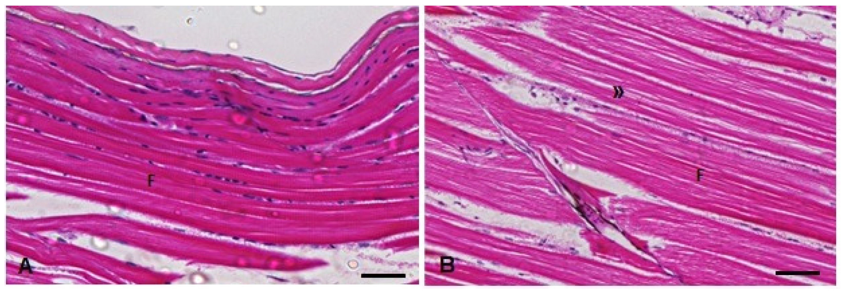 Metabolites 13 00975 g010