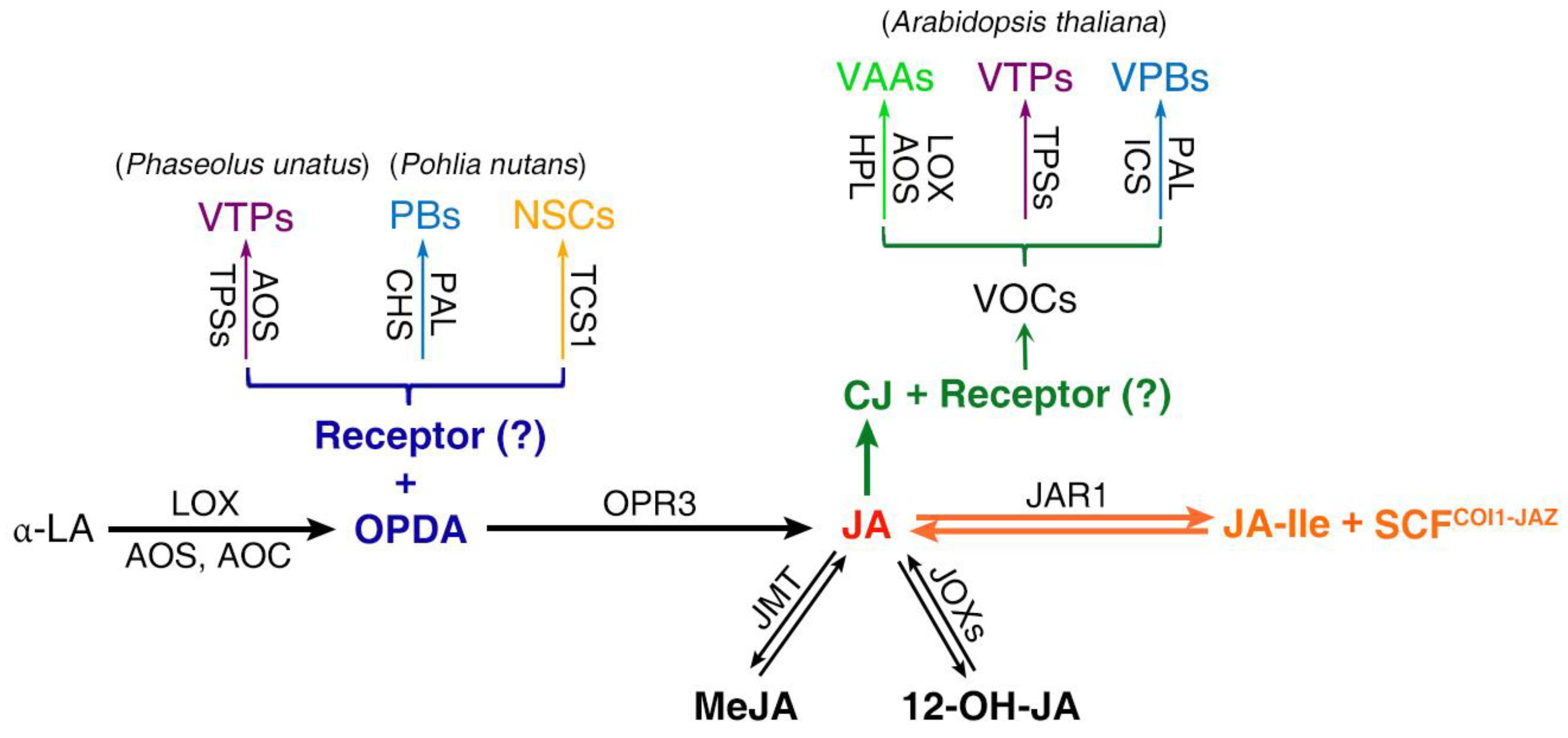 Metabolites 13 01008 g002 Metabolites 13 01008 g002