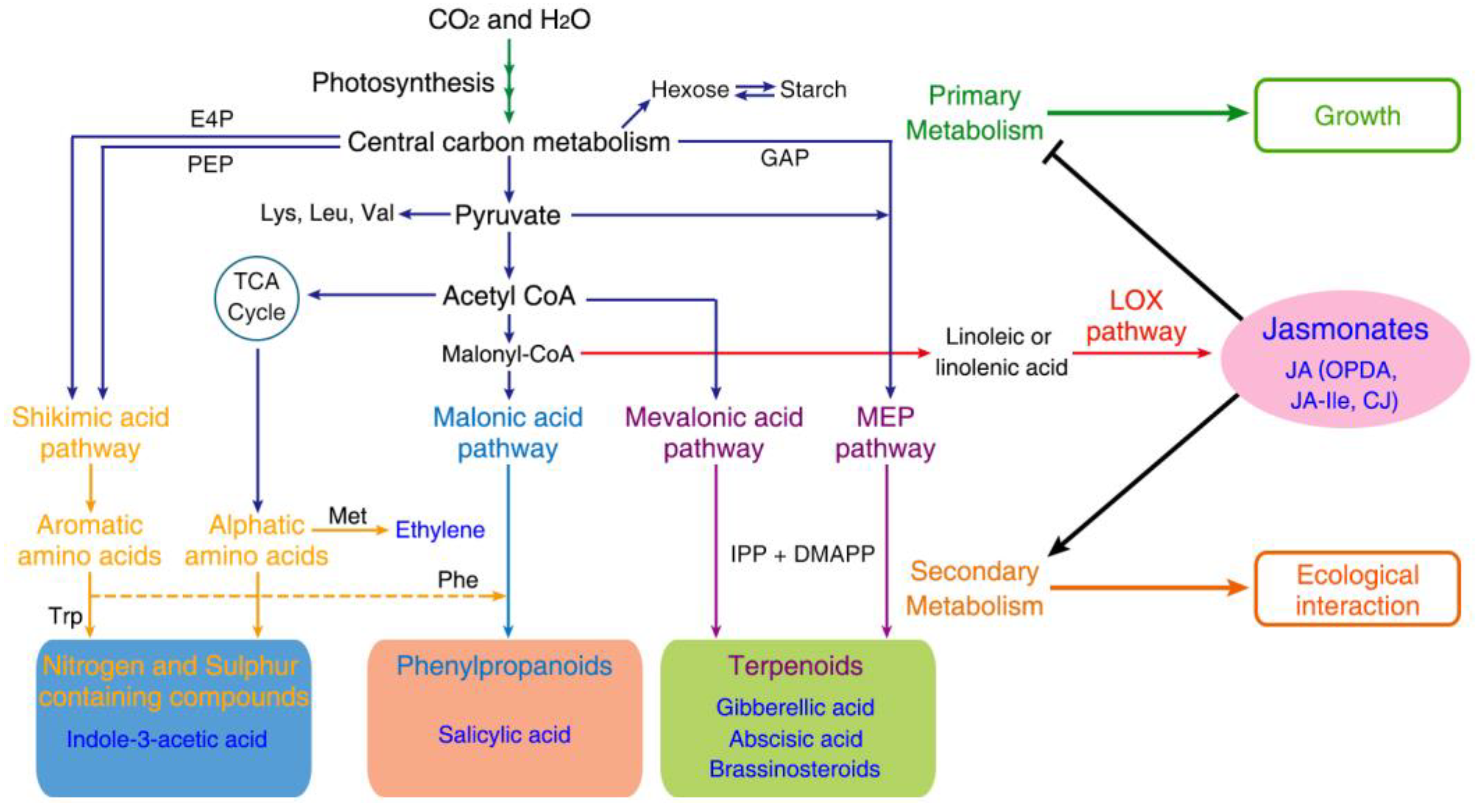 Metabolites 13 01008 g003 Metabolites 13 01008 g003