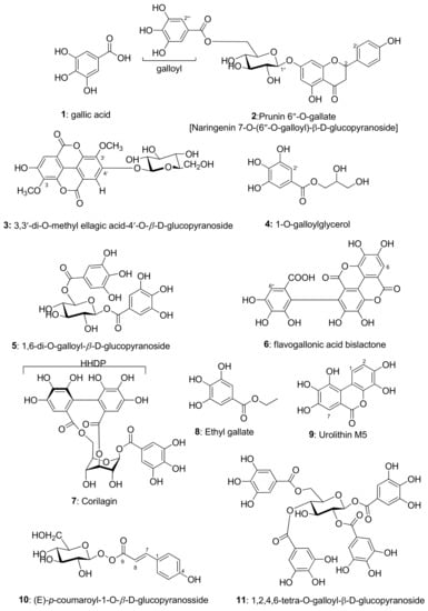 https://www.mdpi.com/metabolites/metabolites-13-01013/article_deploy/html/images/metabolites-13-01013-g001-550.jpg