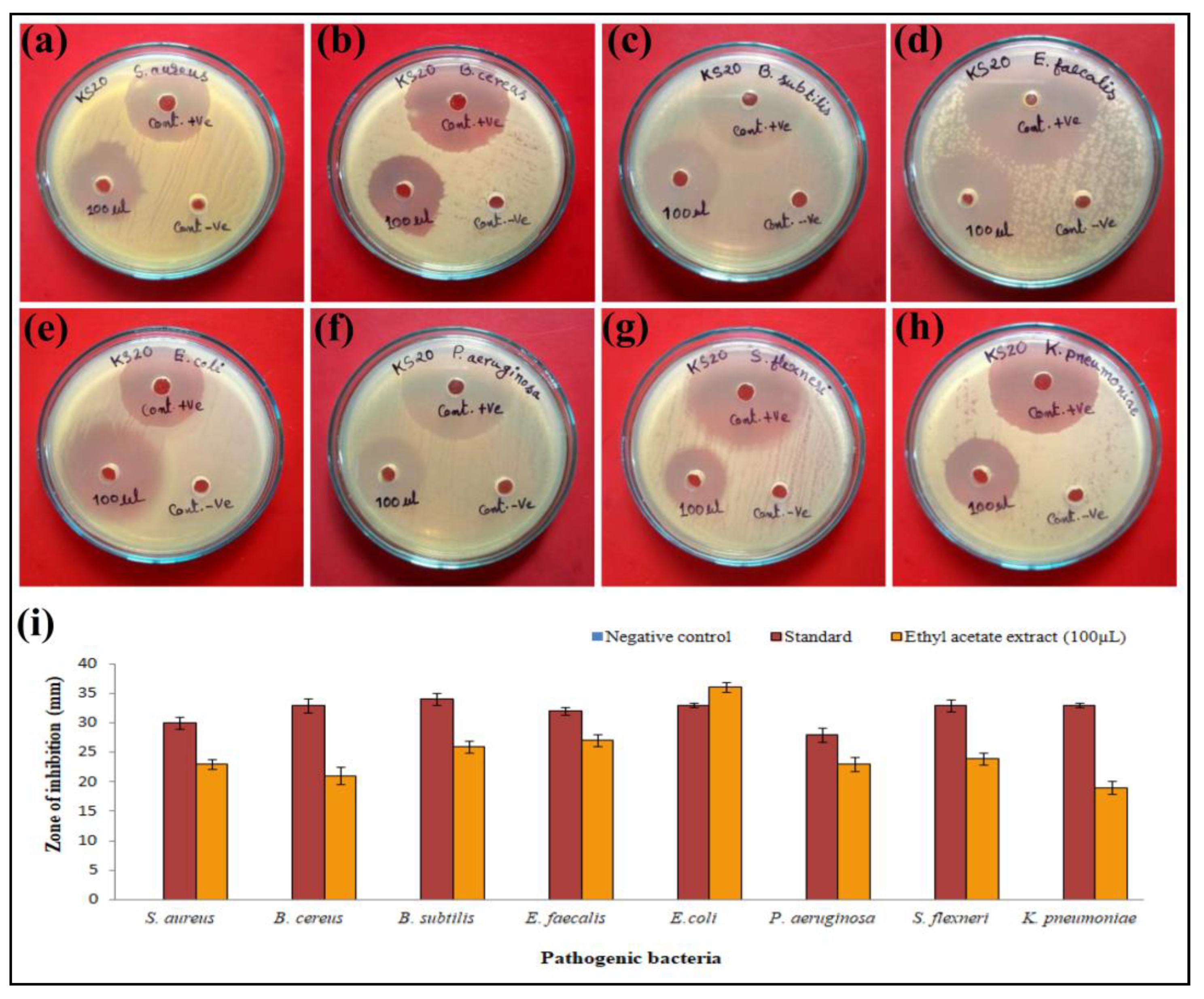 Metabolites 13 01022 g004