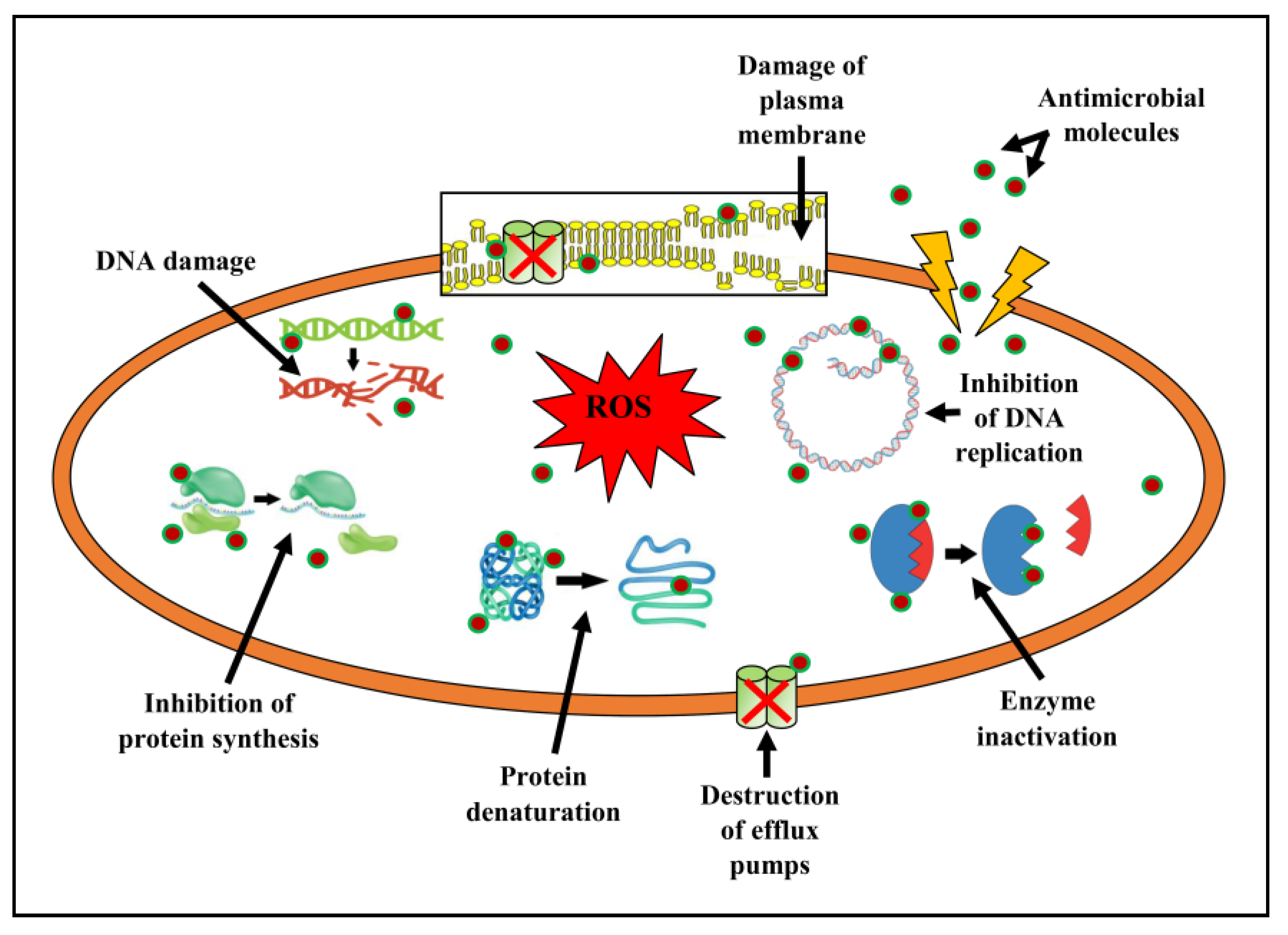 Metabolites 13 01022 g009