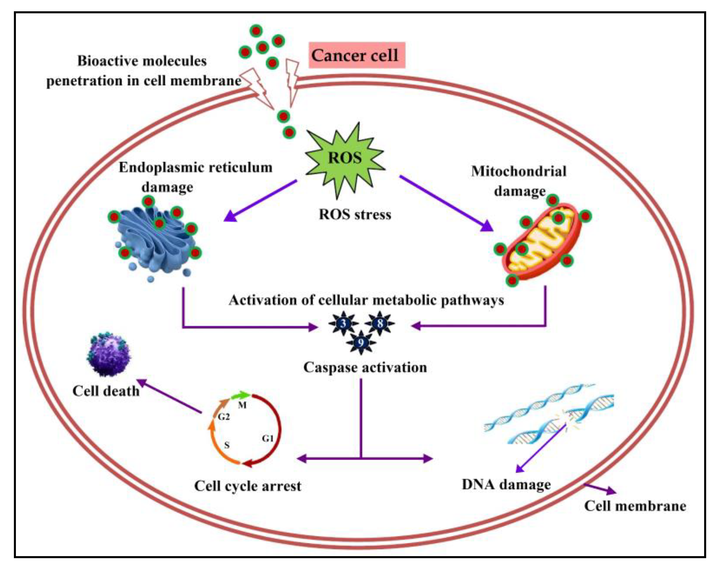 Metabolites 13 01022 g010